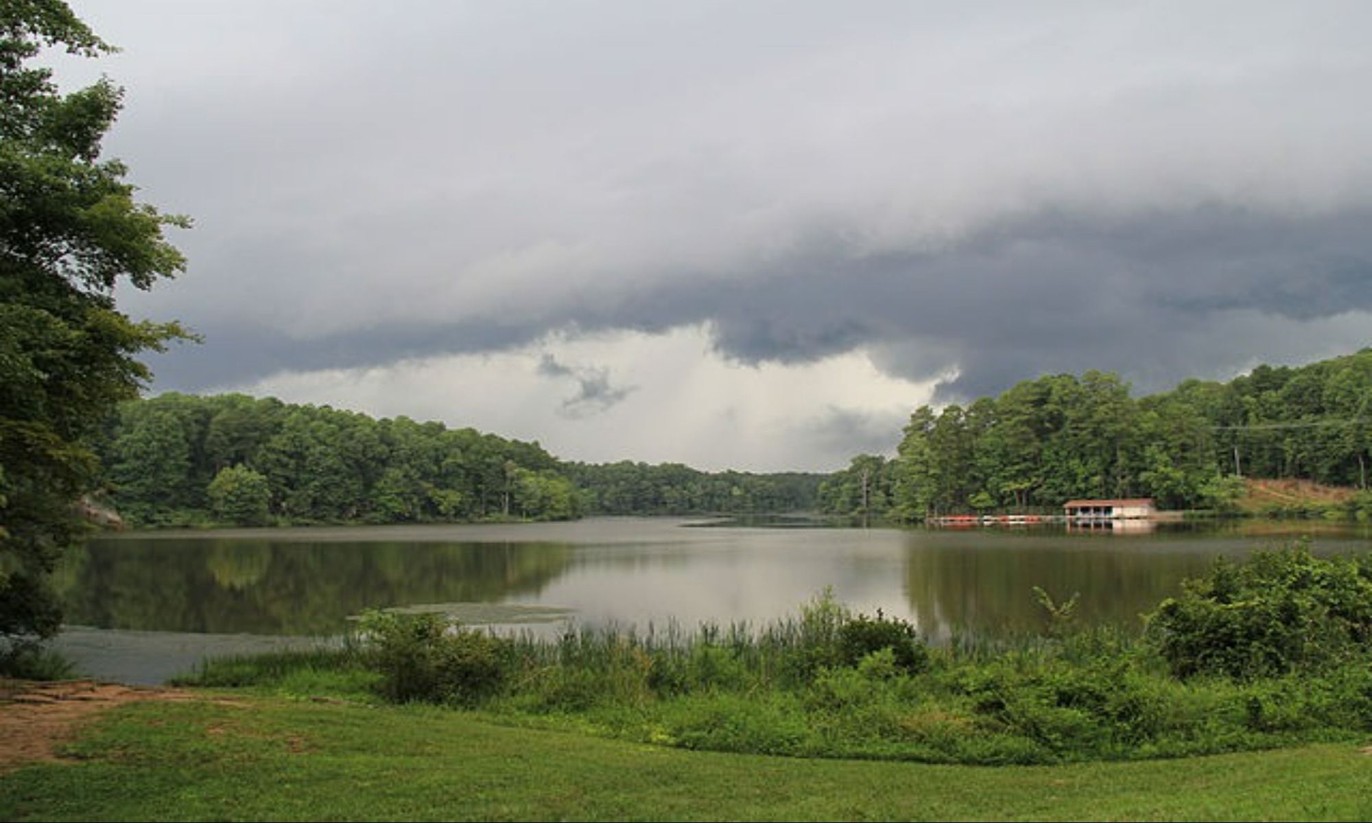 Book Your Fishing Charter in Cary, NC