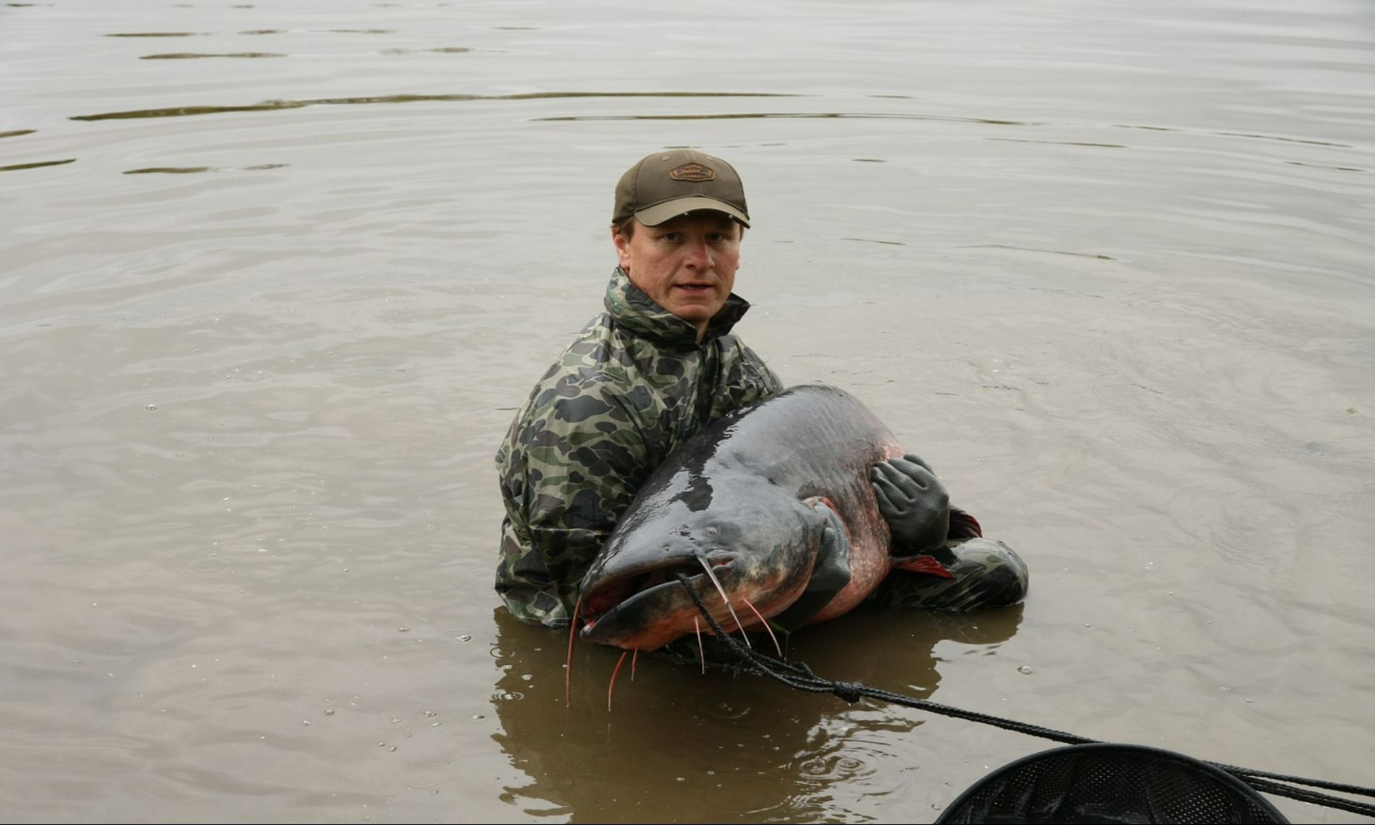 Top Hooks for Catfish