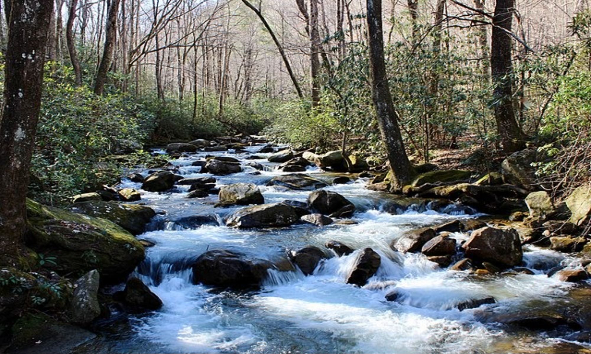 Book Your Fishing Charter in Cayce, SC