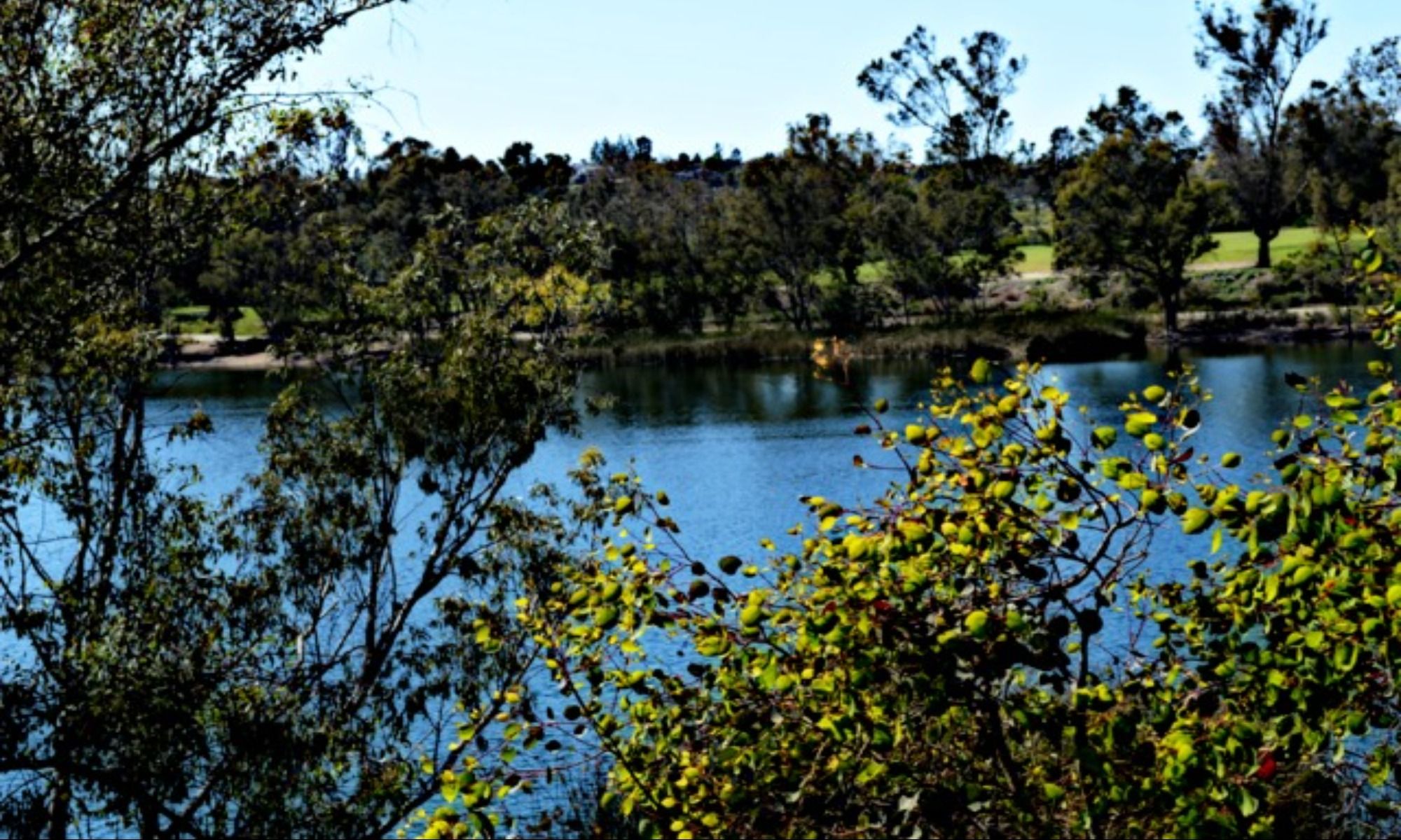 Chapin, SC Fishing: Productive Fishing in the Capital of Lake Murray