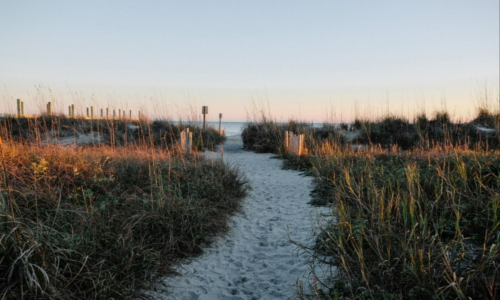 Charleston City, SC Fishing: Nothing but the Best