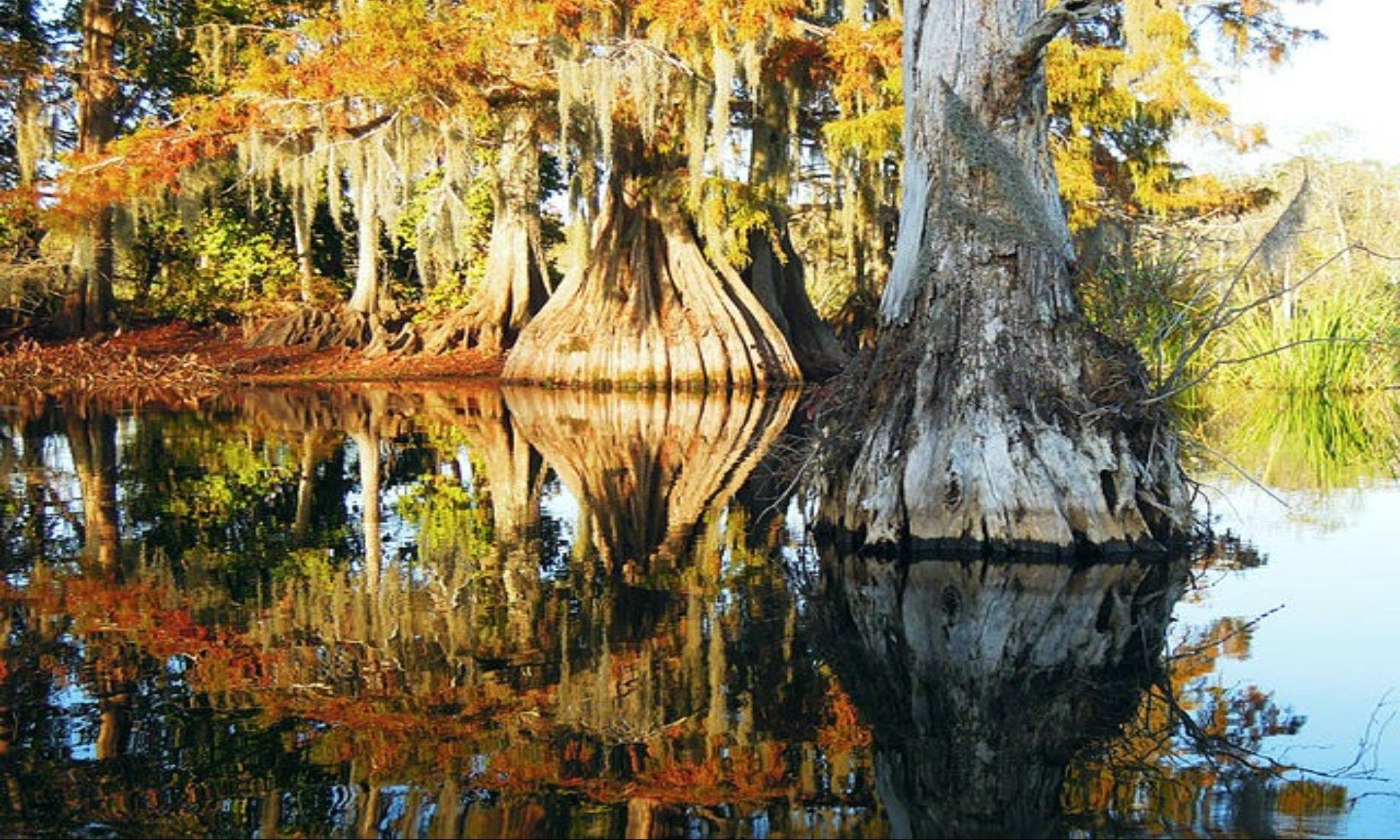 Book Your Fishing Charter in Chataignier, LA