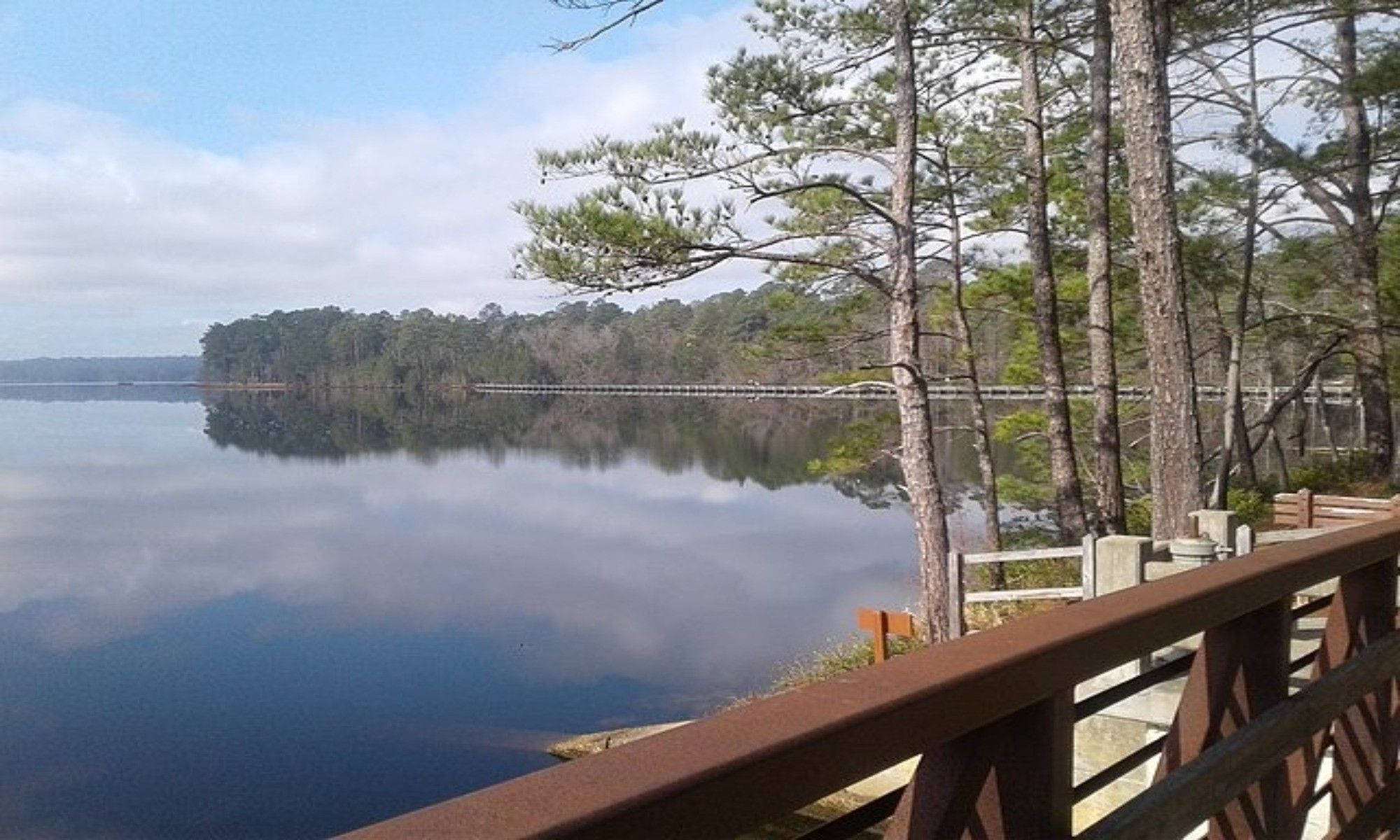 Book Your Fishing Charter in Cheraw, SC