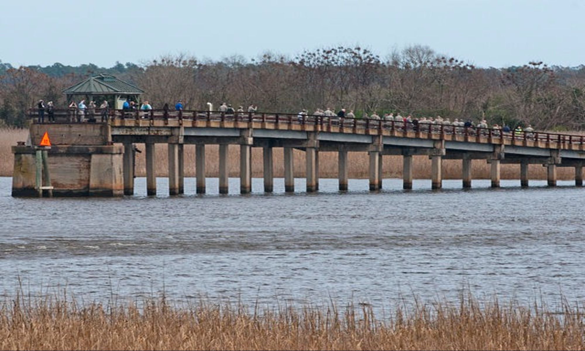 Cheraw, SC Fishing: Angling in the Prettiest Town in Dixie