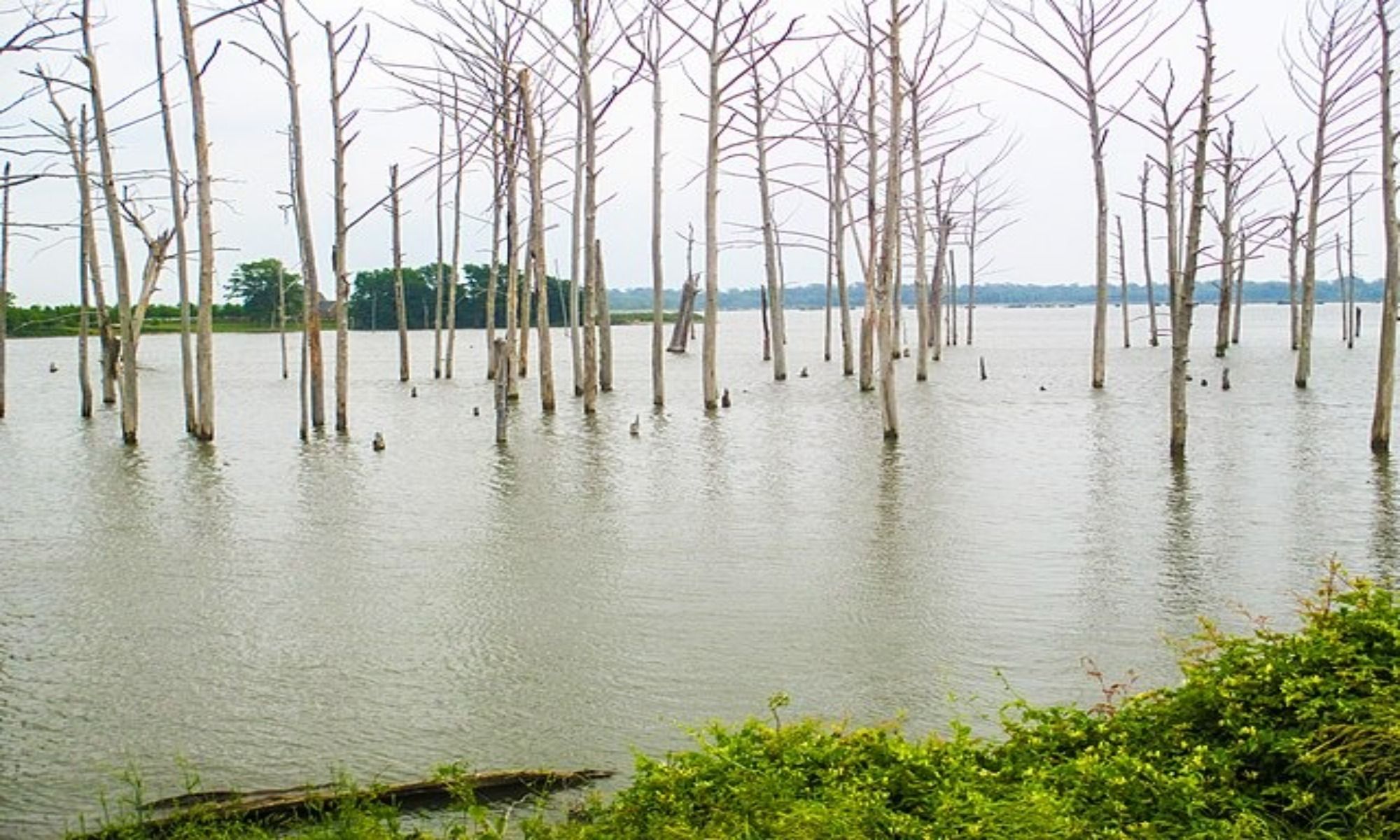 Book Your Fishing Charter in Clayton, LA
