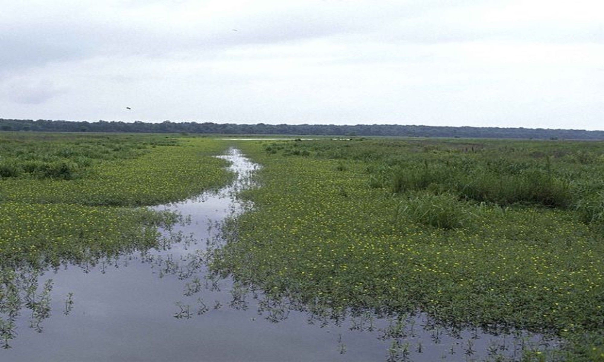 Clayton, LA Fishing: Experience Diversity