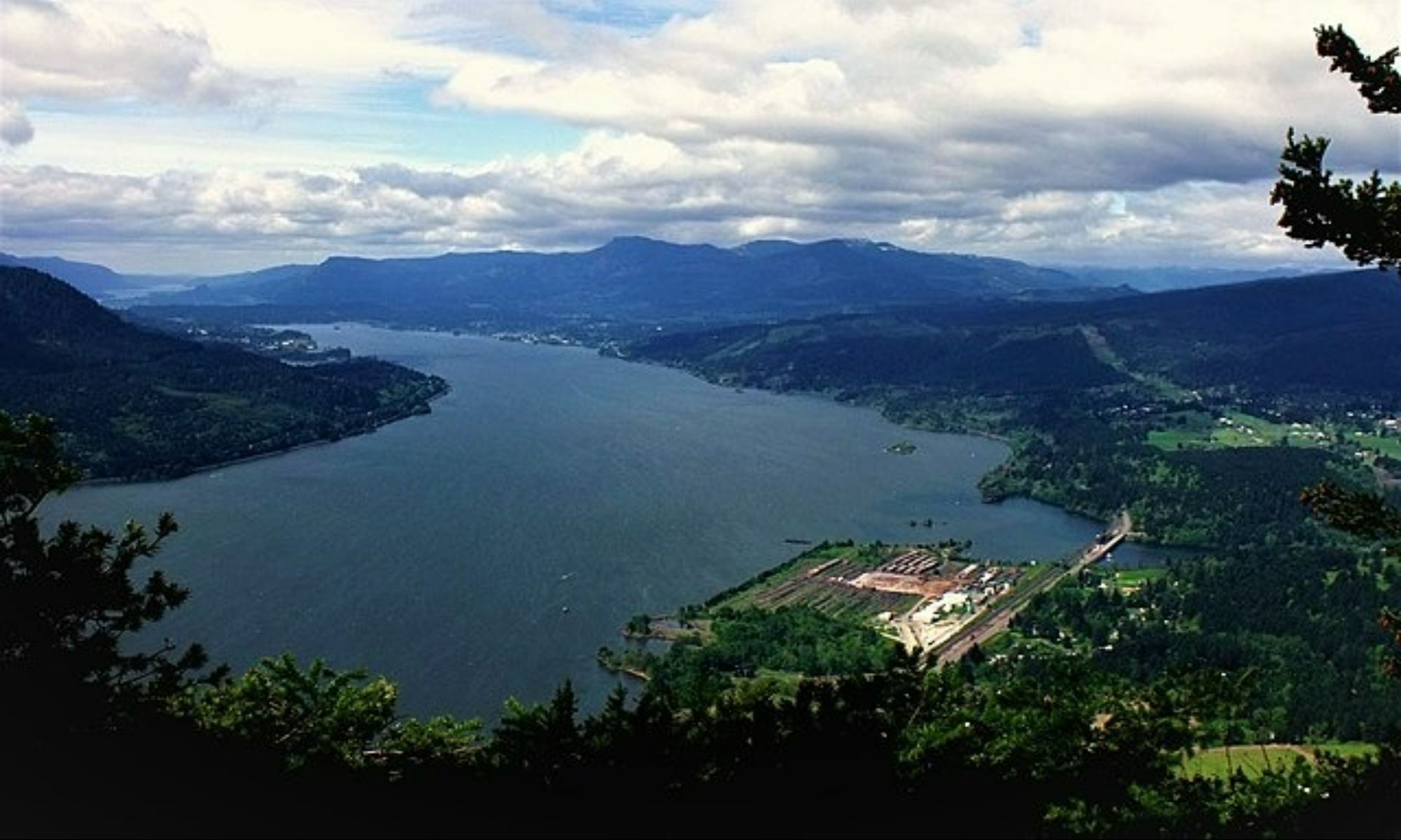 Columbia River Fishing: Catch the Most Prized of Salmon