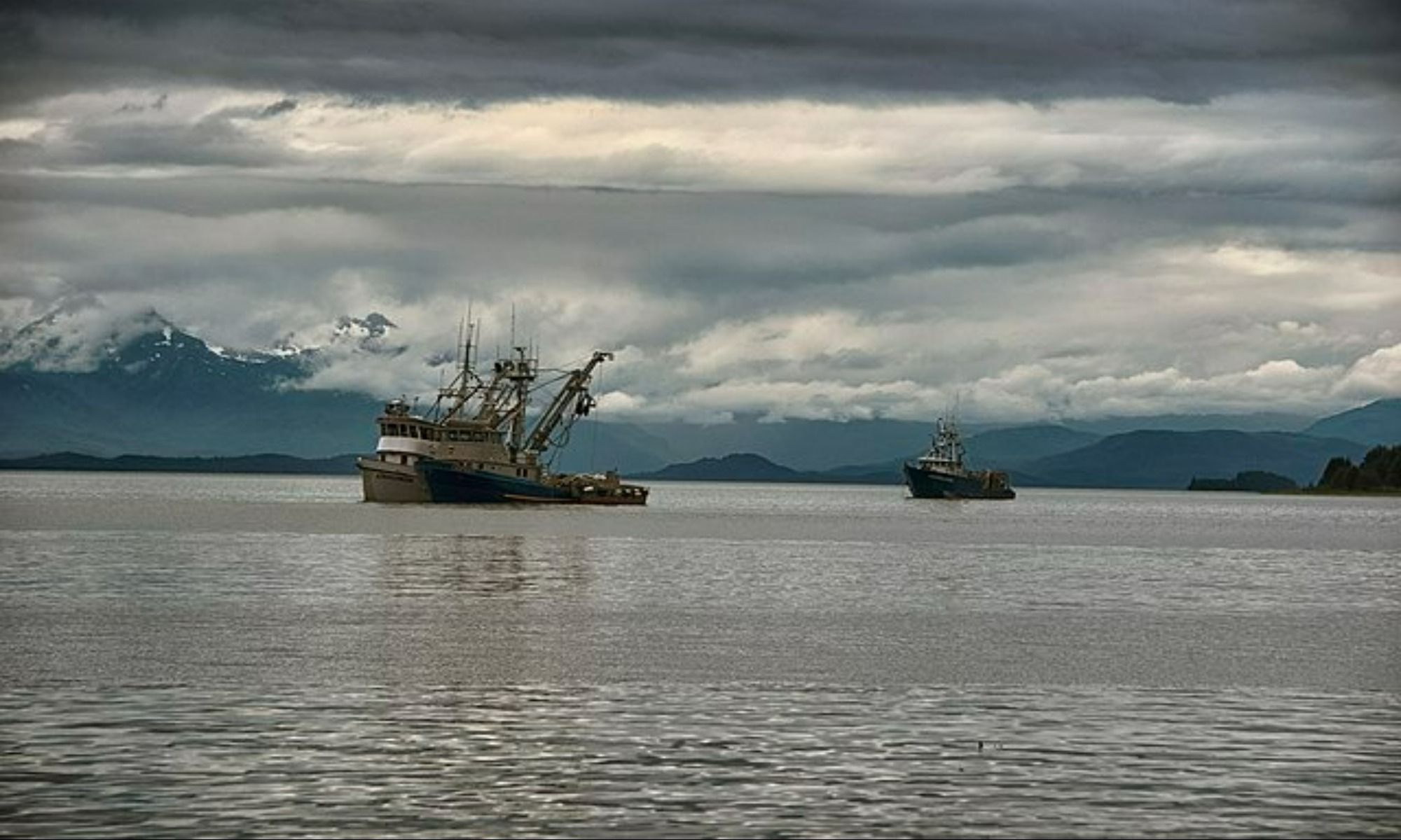 Recreational Versus Commercial Fishing