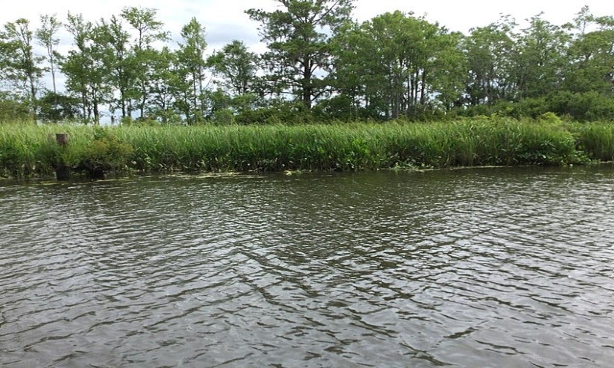 Book Your Fishing Charter in Conway, SC