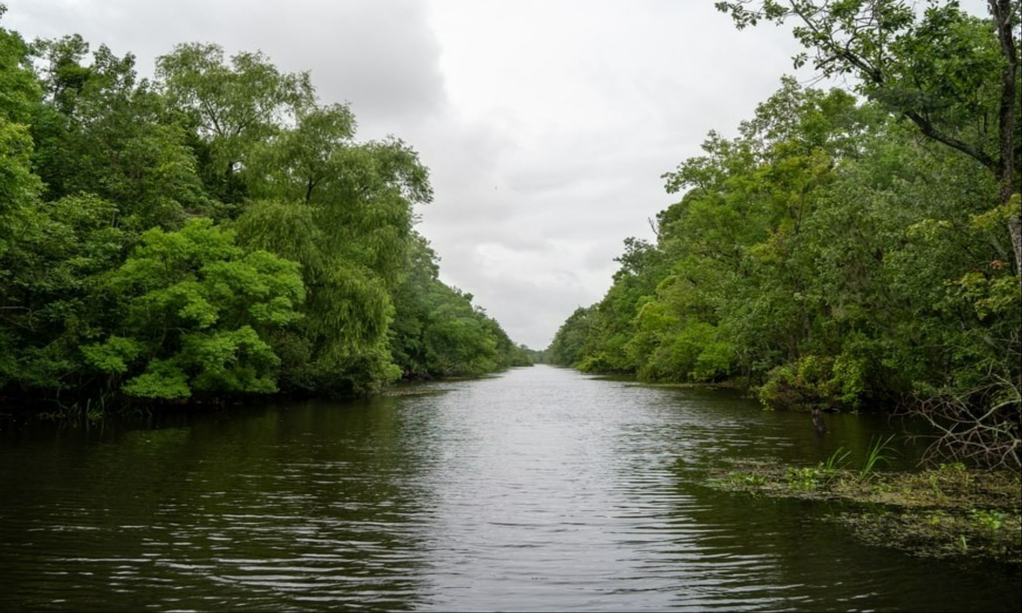 Cross, SC Fishing: Ample Rural Lake Fishing in South Carolina