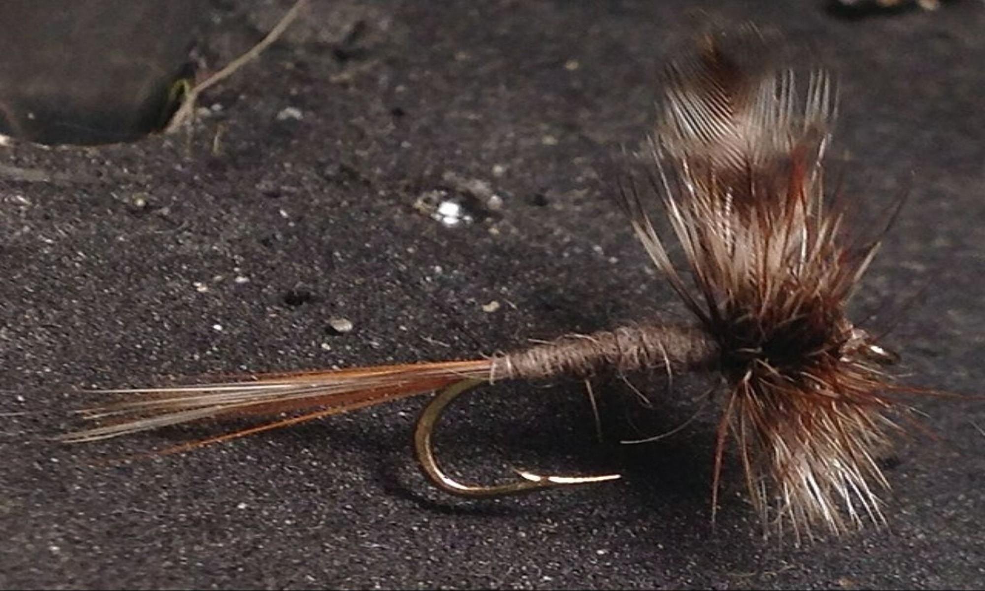 Tips on Dry Fly Fishing on Lakes