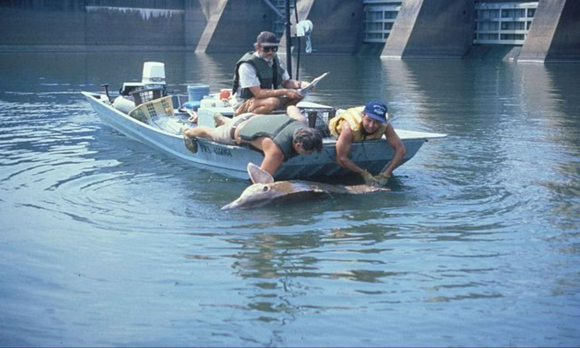 10 Endangered Fish Species
