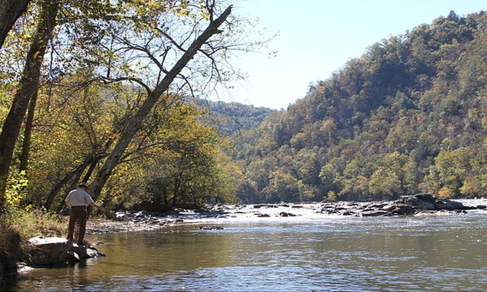 How Water Temperature Affects Fish Guidesly