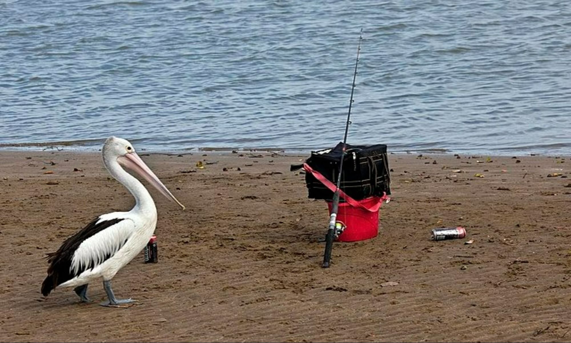 The Top Fishing Equipment for Buoy 10