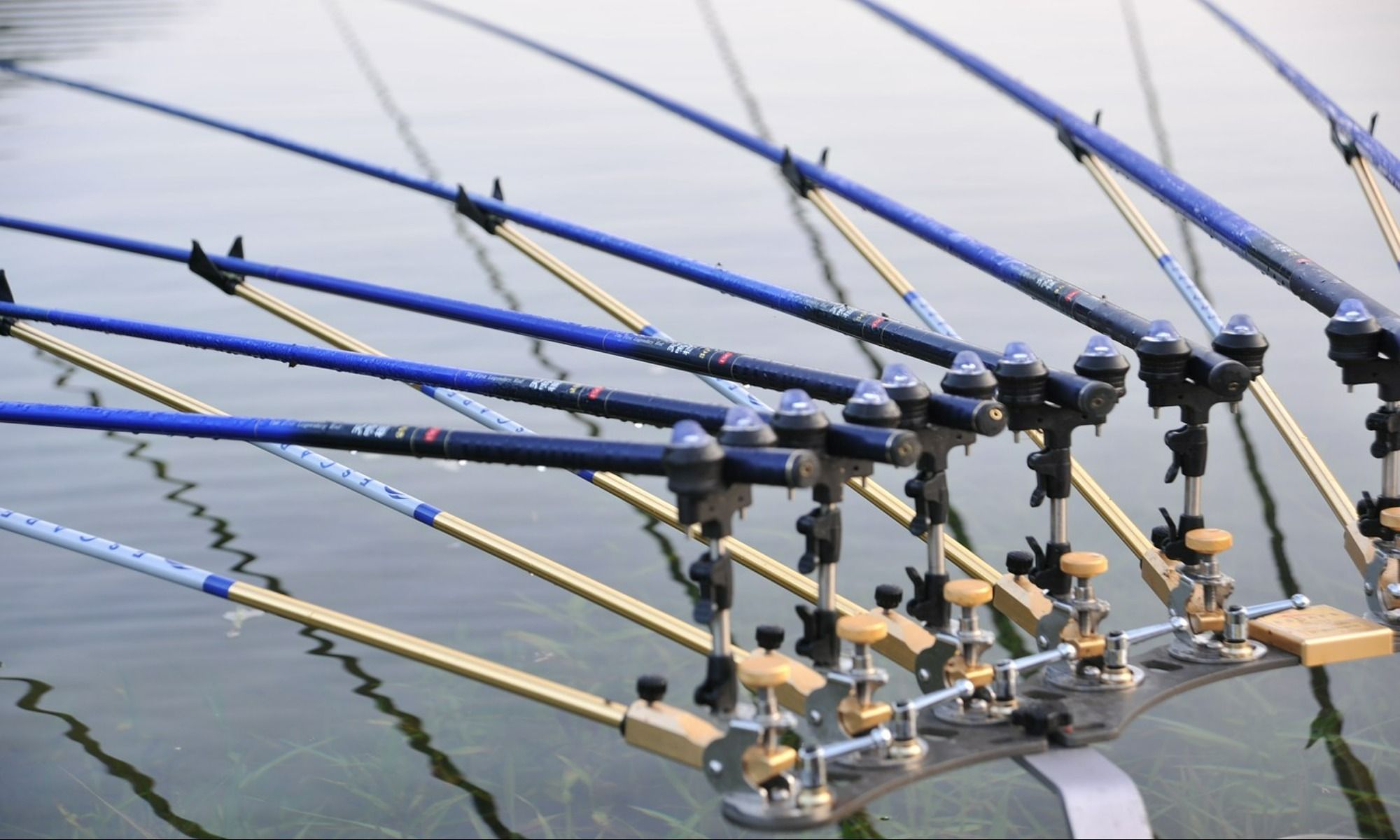 Freshwater Fishing: 8 Top Tips for Beginners