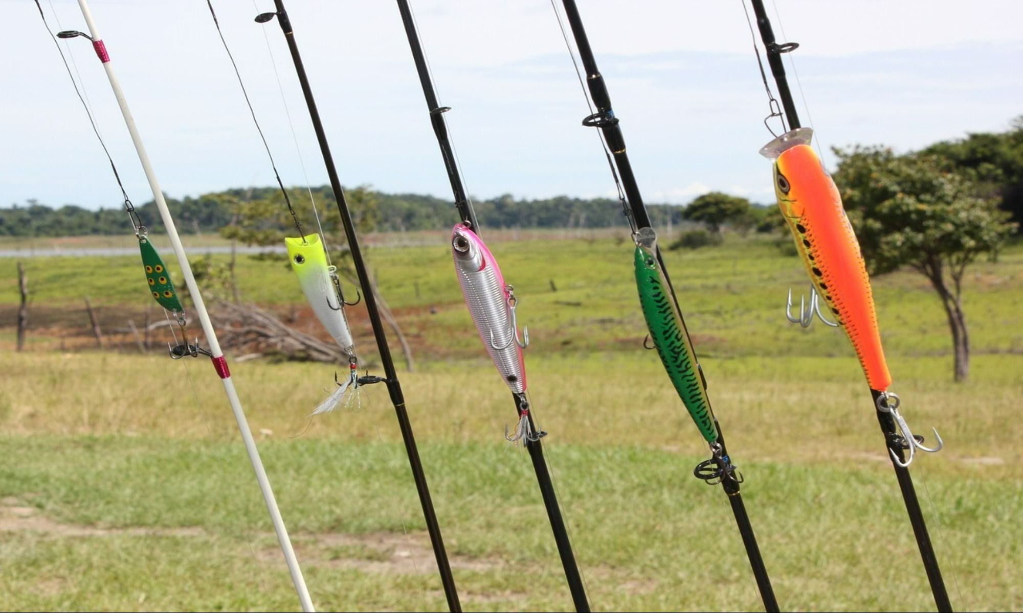 Inshore Fishing: Everything a Beginner Should Know