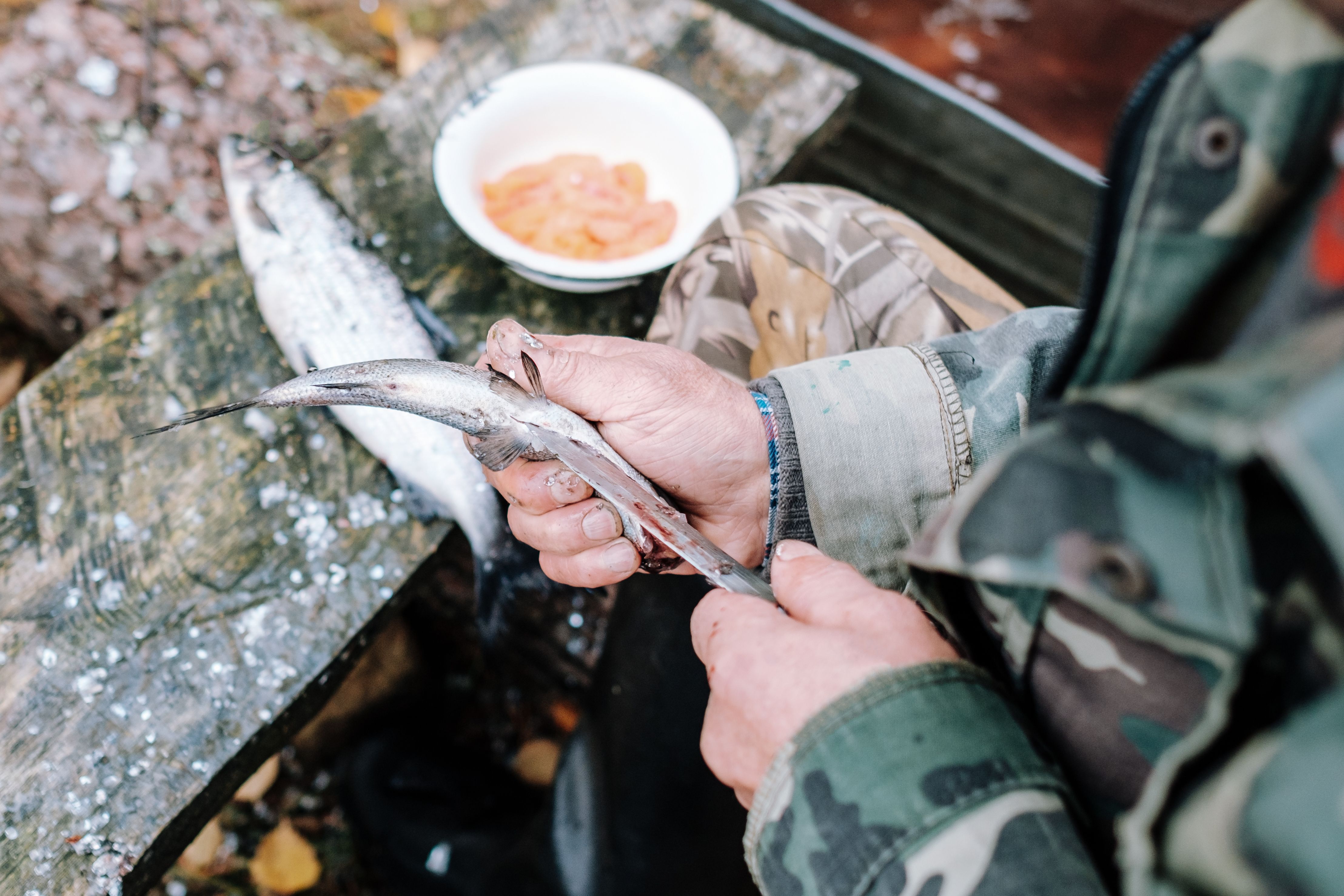 How to Secure the Best Fishing Experience on a Tight Schedule