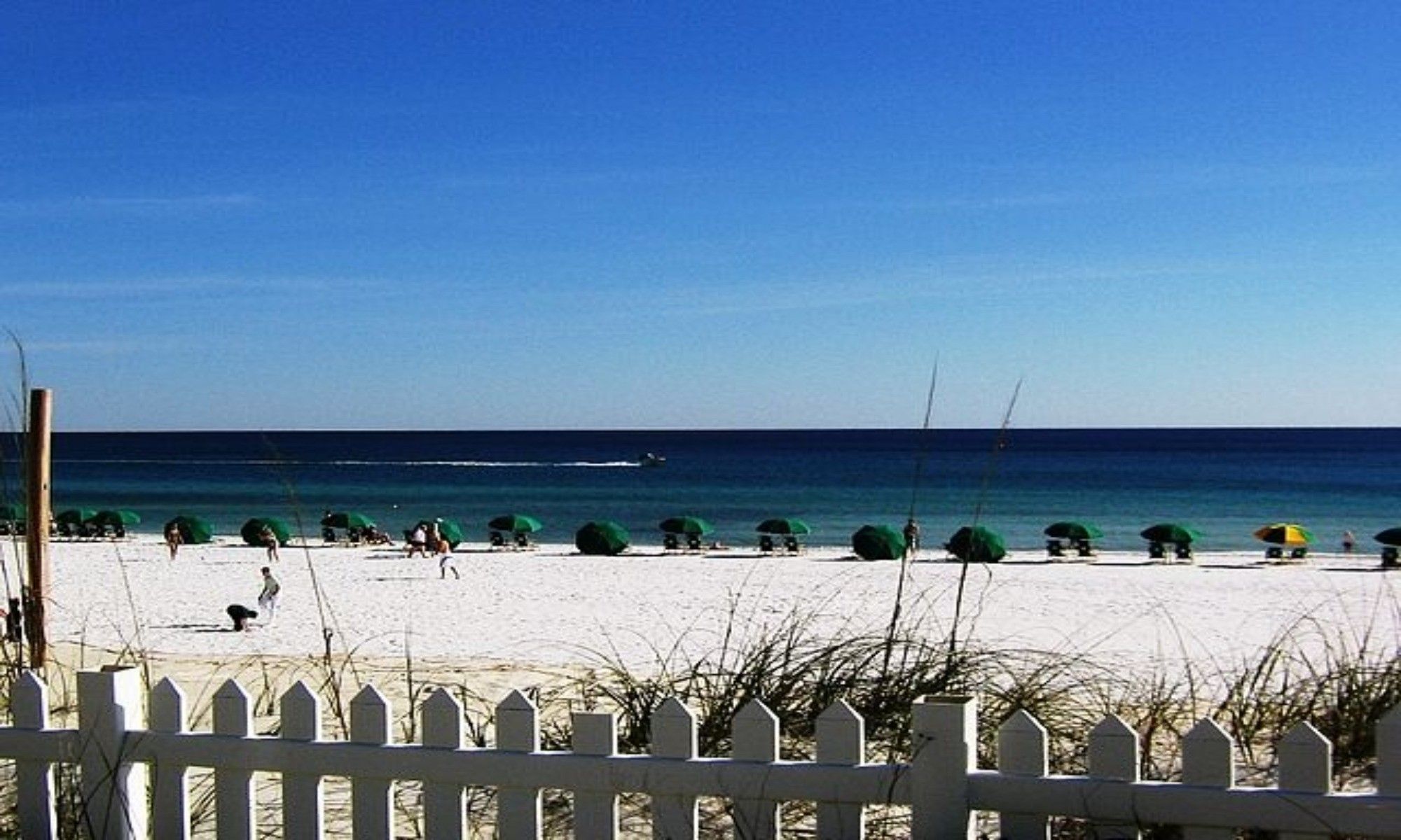 Top 10 Amazing Facts About Fishing in Florida