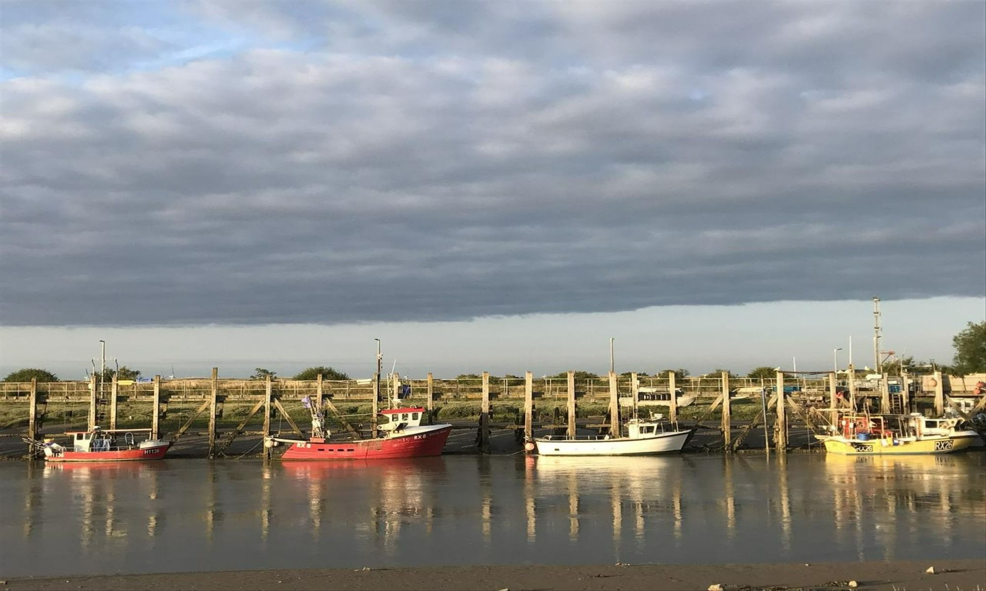 boats docked near harbor