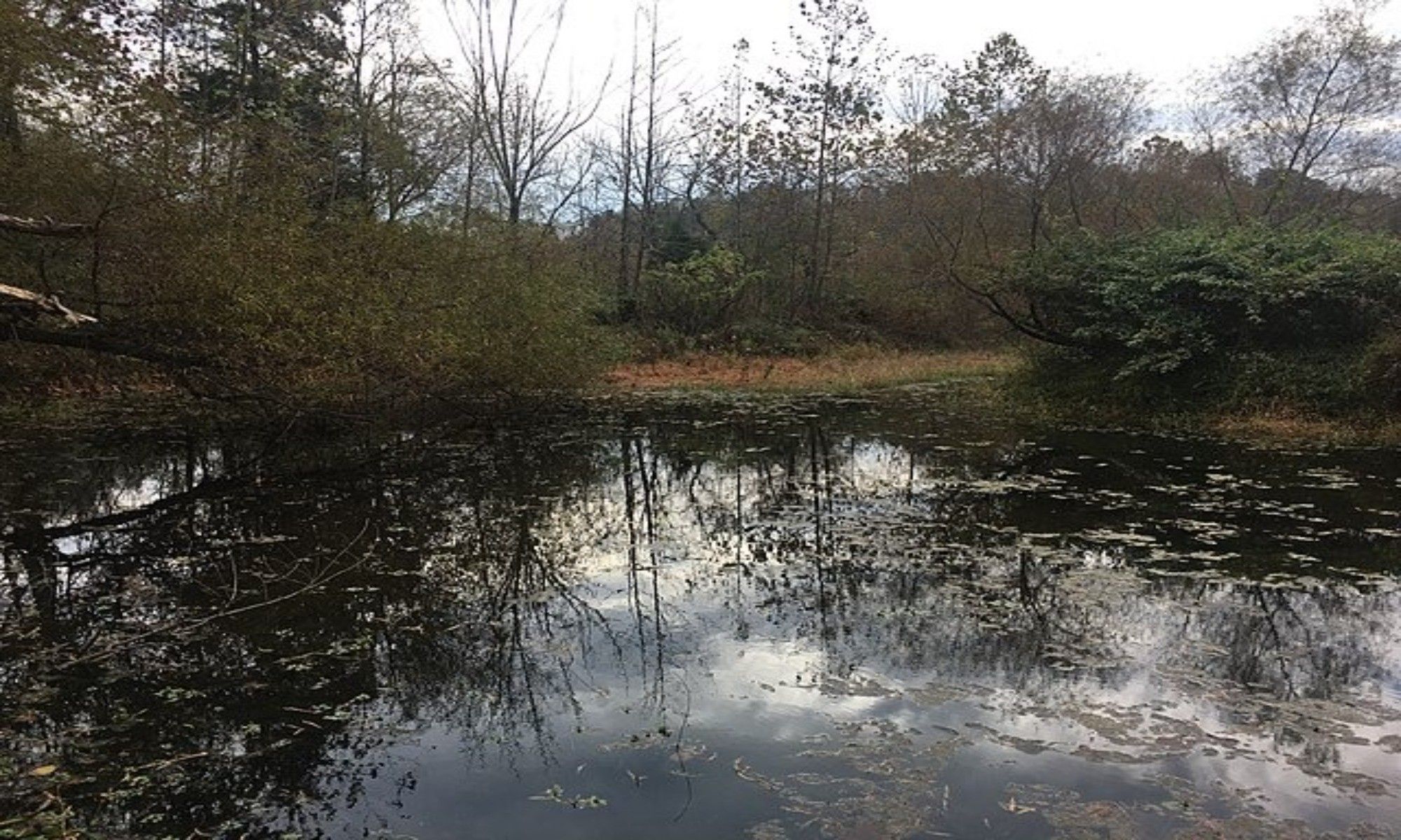 Book Your Fishing Charter in Fuquay-Varina, NC