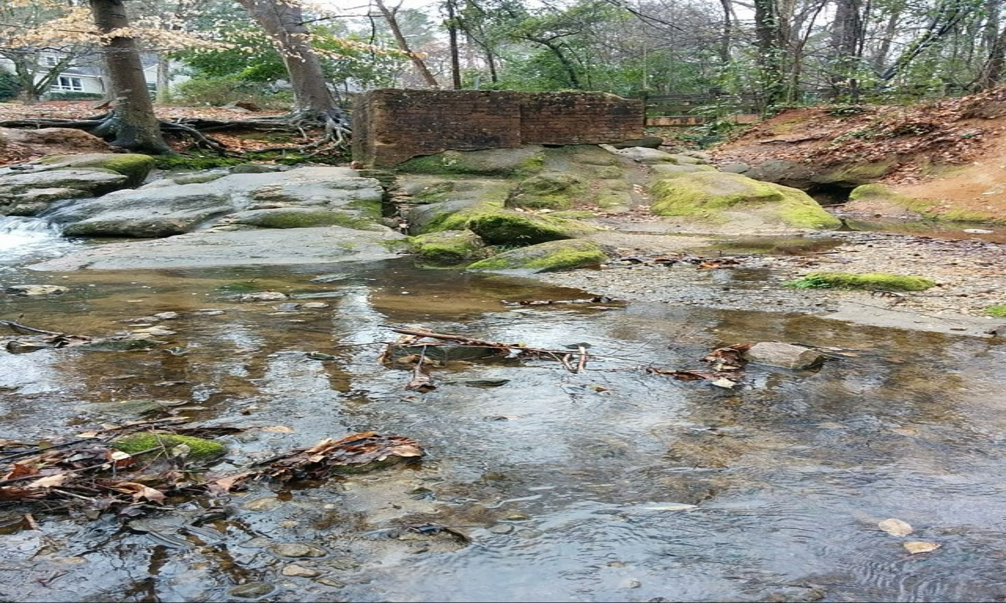 Gastonia, NC Fishing: A Great Place for Great Fishing