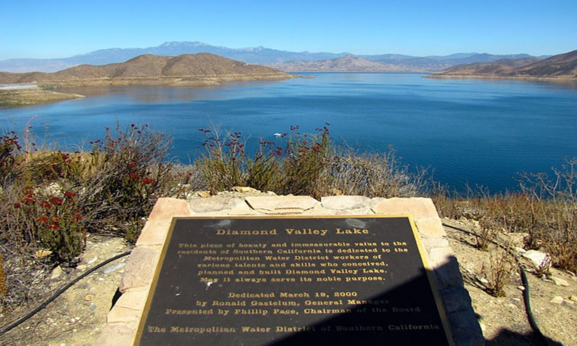 Book Your Fishing Charter in Hemet, CA