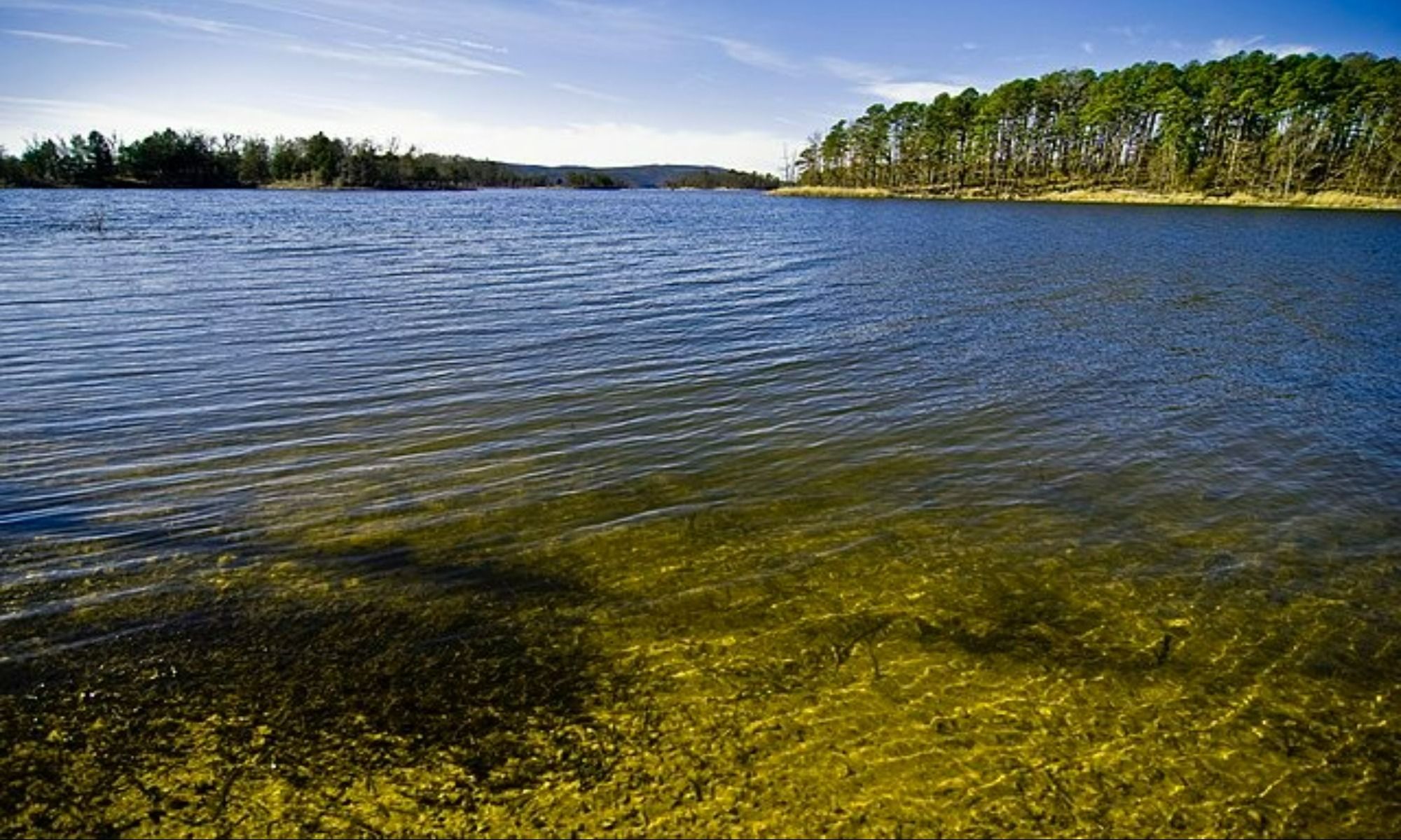 Book Your Fishing Charter in Hot Springs, AR