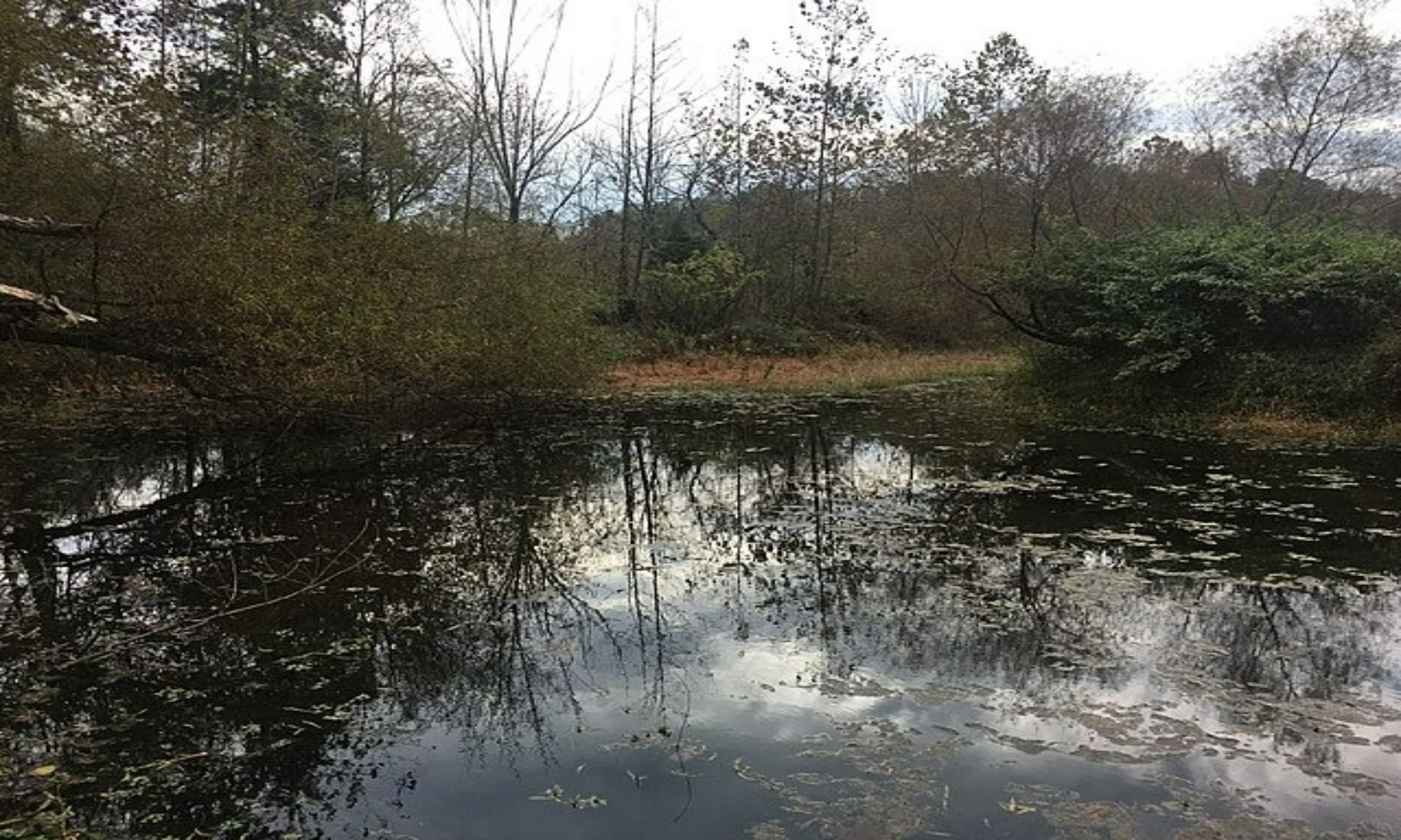 Kannapolis, NC Fishing: Ideal Gateway to Freshwater Fishing in the Charlotte District
