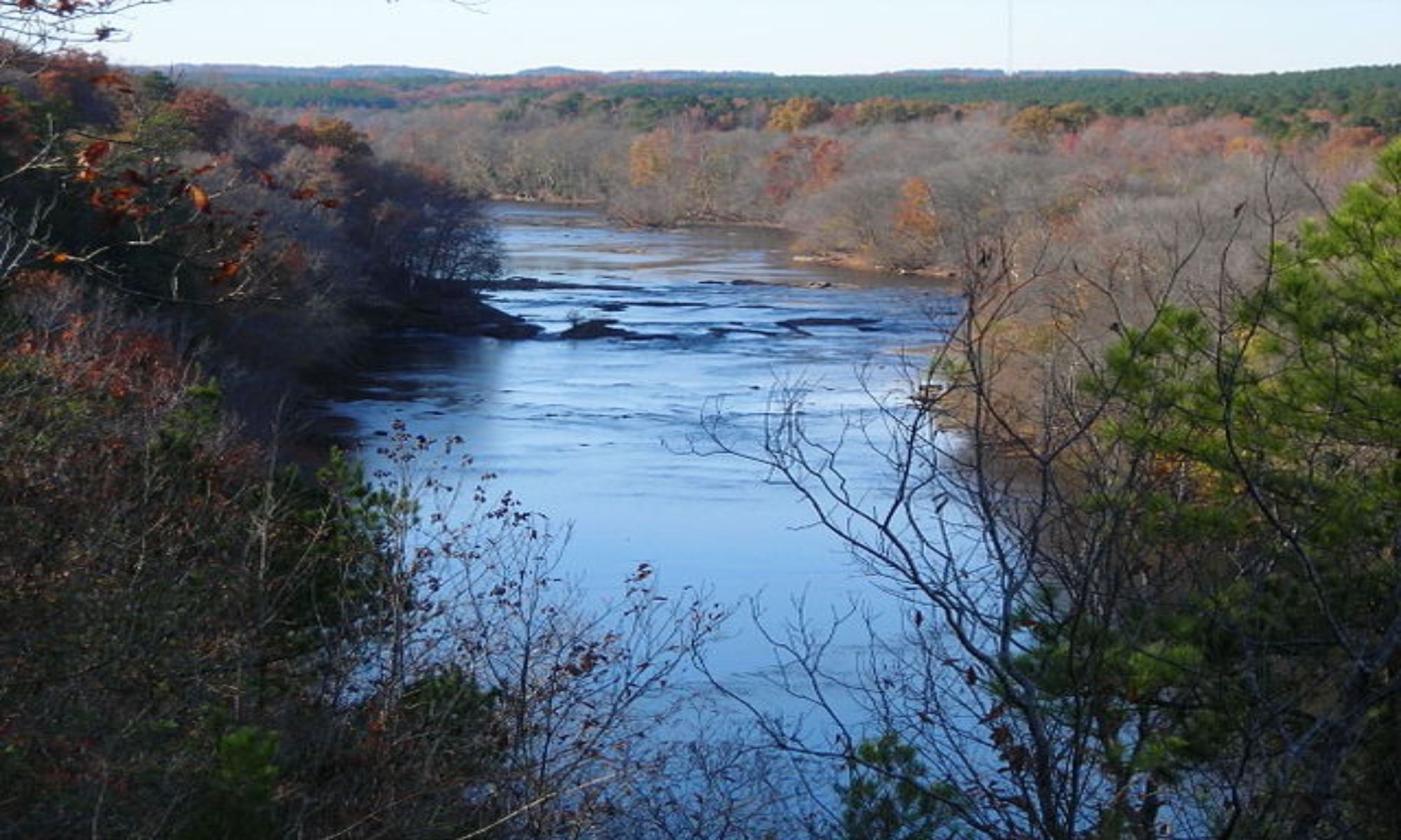 Book Your Fishing Charter in Leland, NC