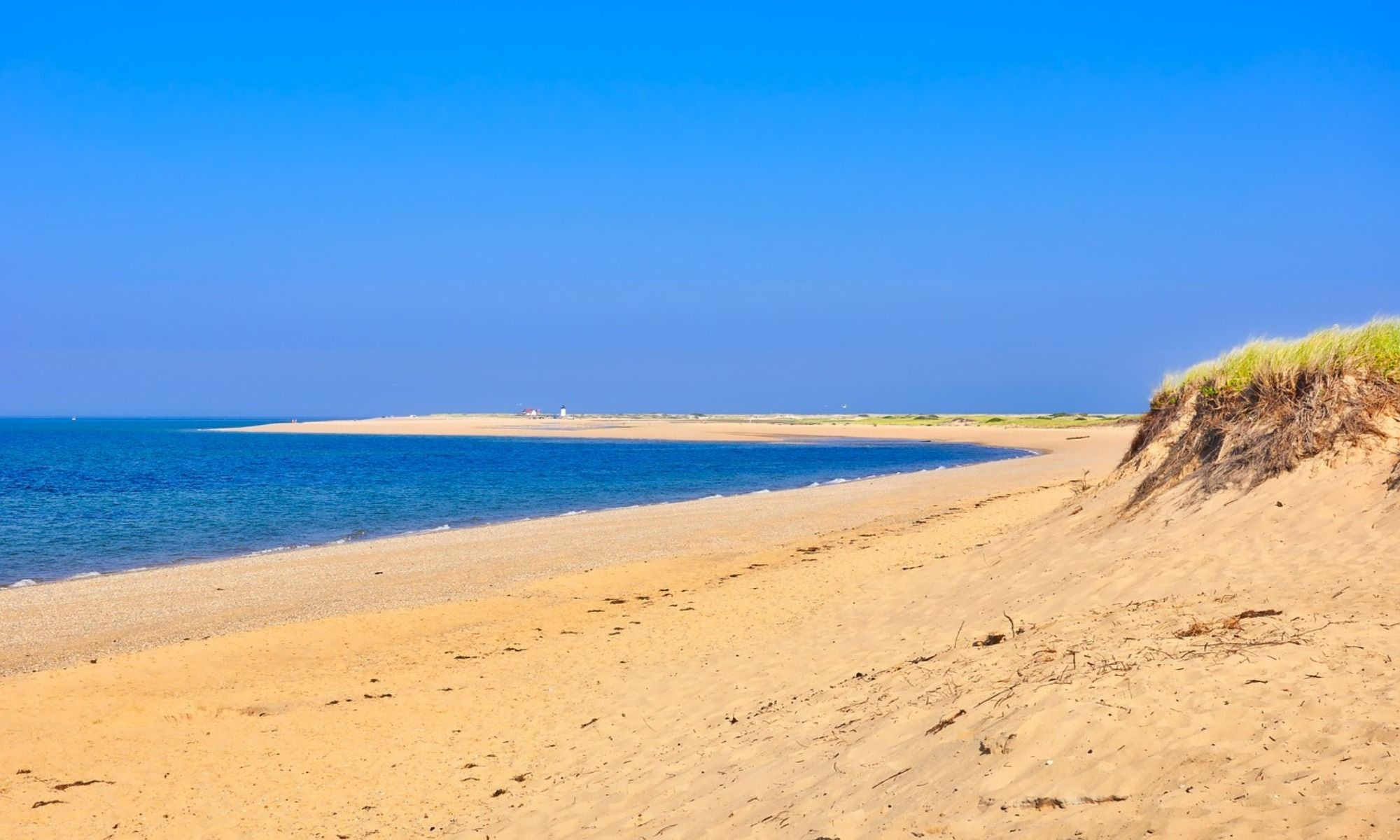 Lowell Holly, MA Fishing: A Cape Cod Bay Hidden Gem