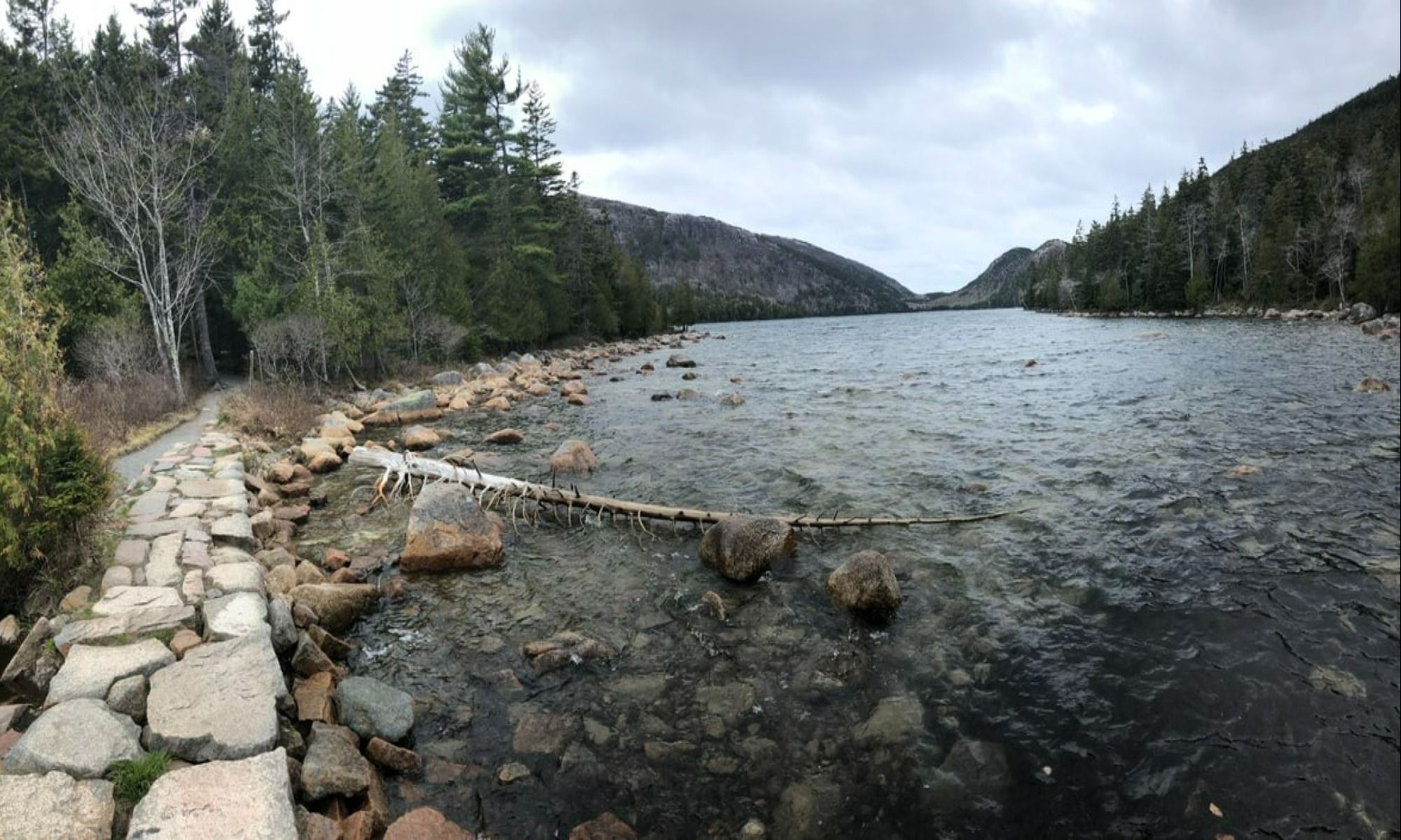 Book Your Fishing Charter in Lowell Holly, MA