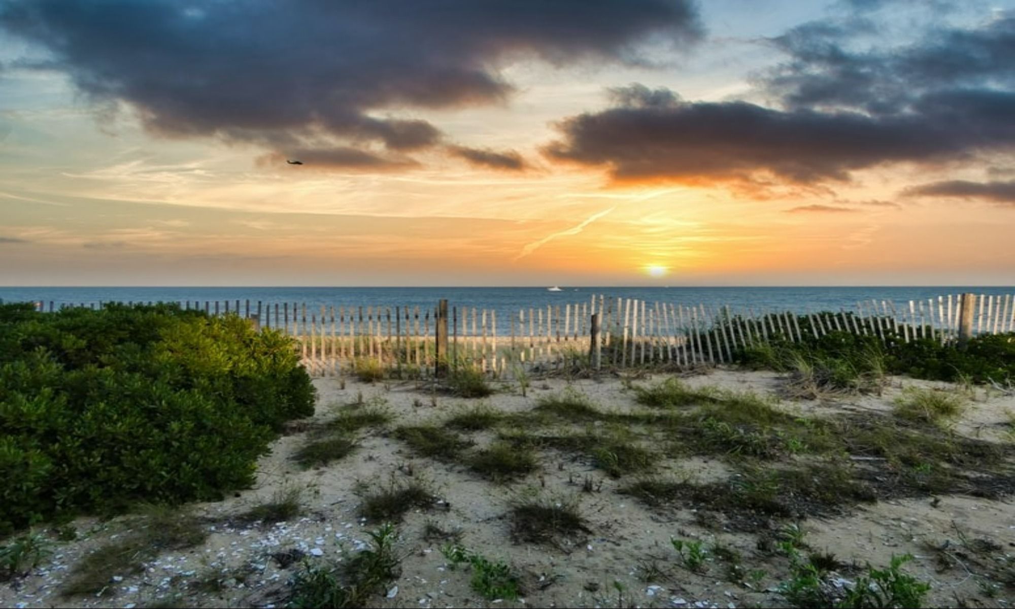 Mashpee, MA Fishing: Cape Cod Angling in a Classic New England Town