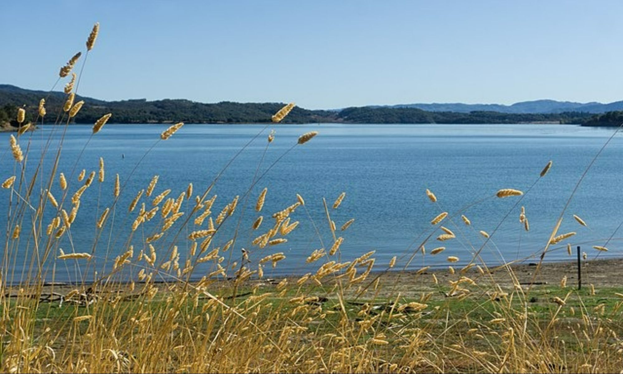 Book Your Fishing Charter in Mendocino Village, CA