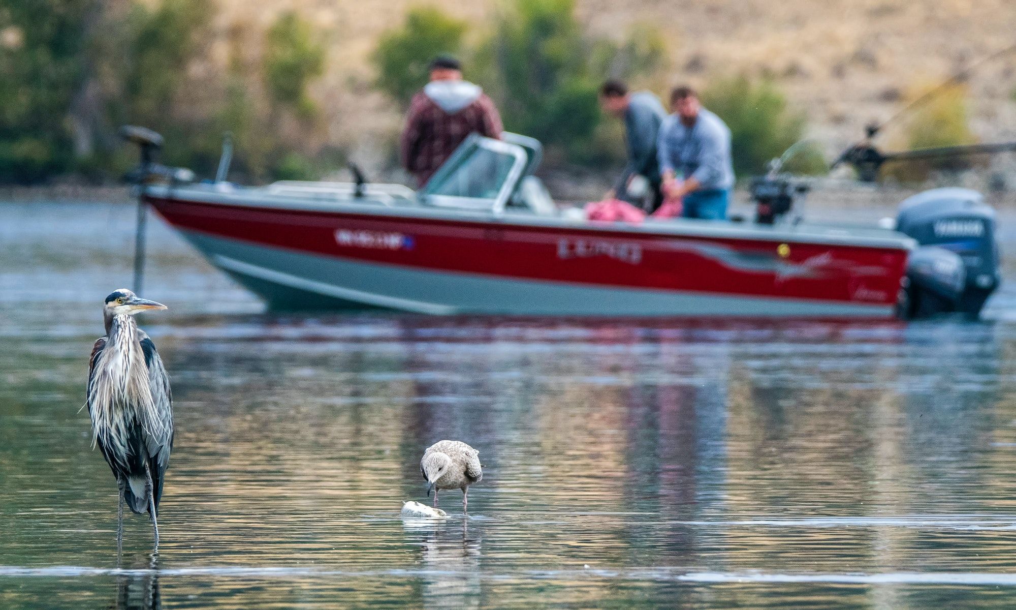 Mid-day Fishing: Why You Should Do It