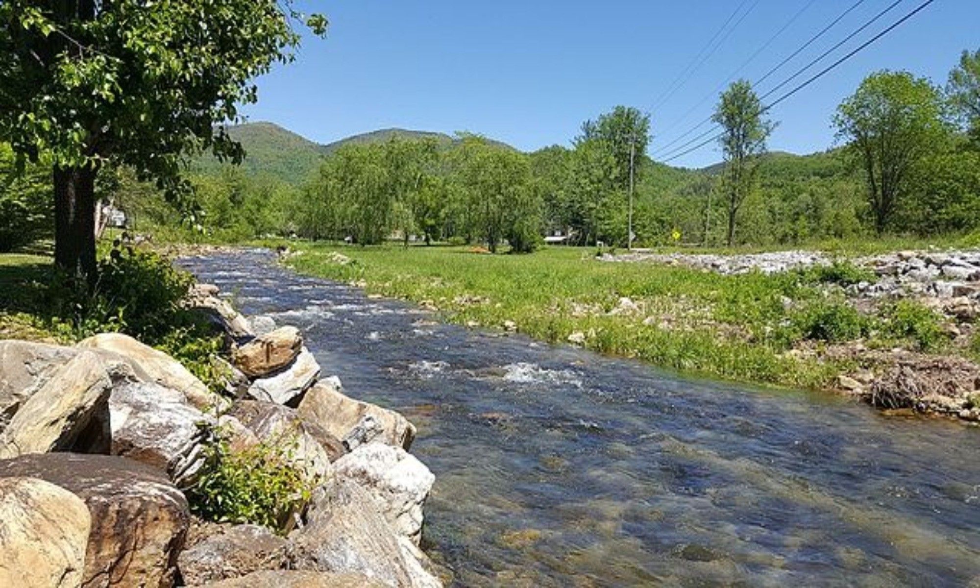 Book Your Fishing Charter in Mint Hill, NC