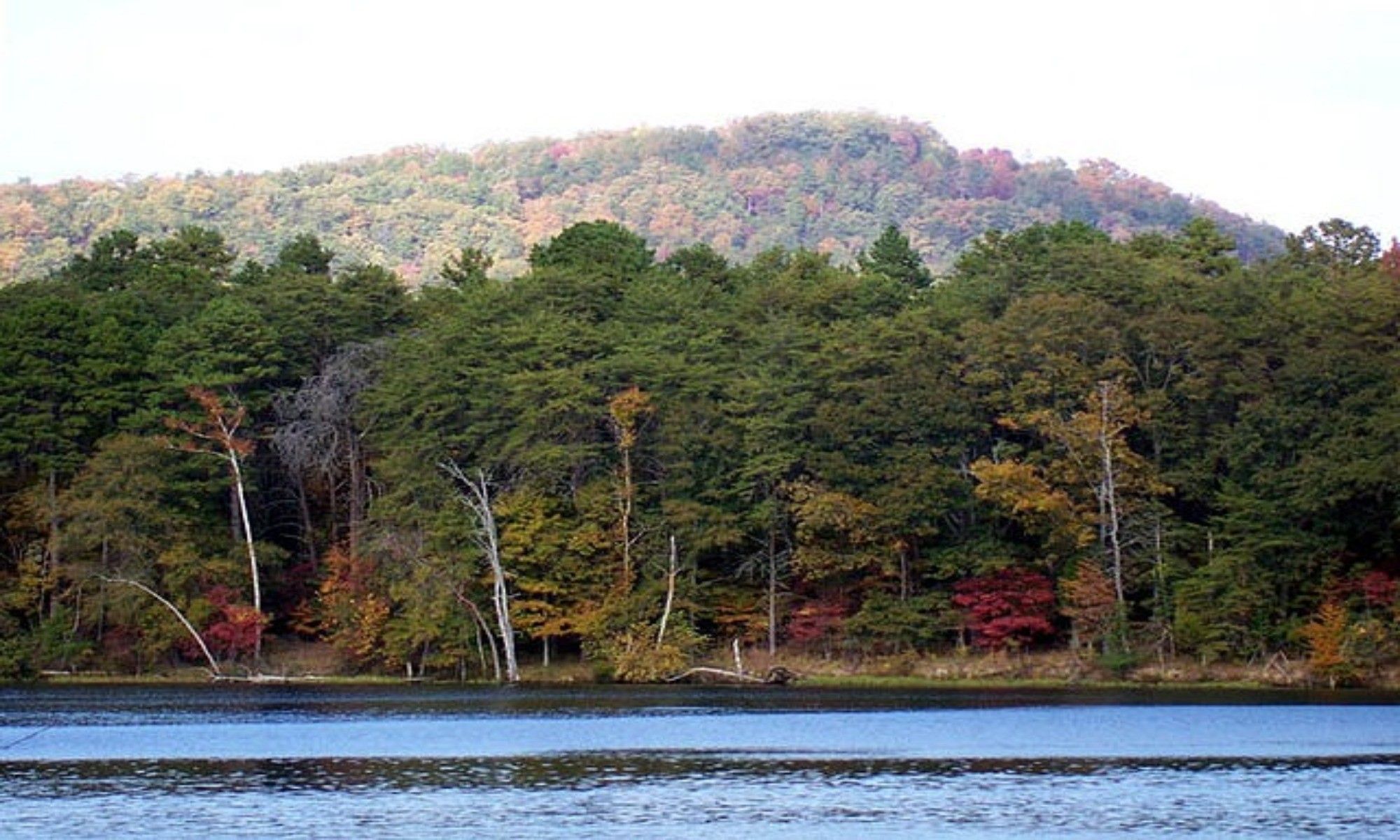 Mint Hill, NC Fishing: Ample River and Lake Fishing in Charlotte’s Seat of Hometown Hospitality