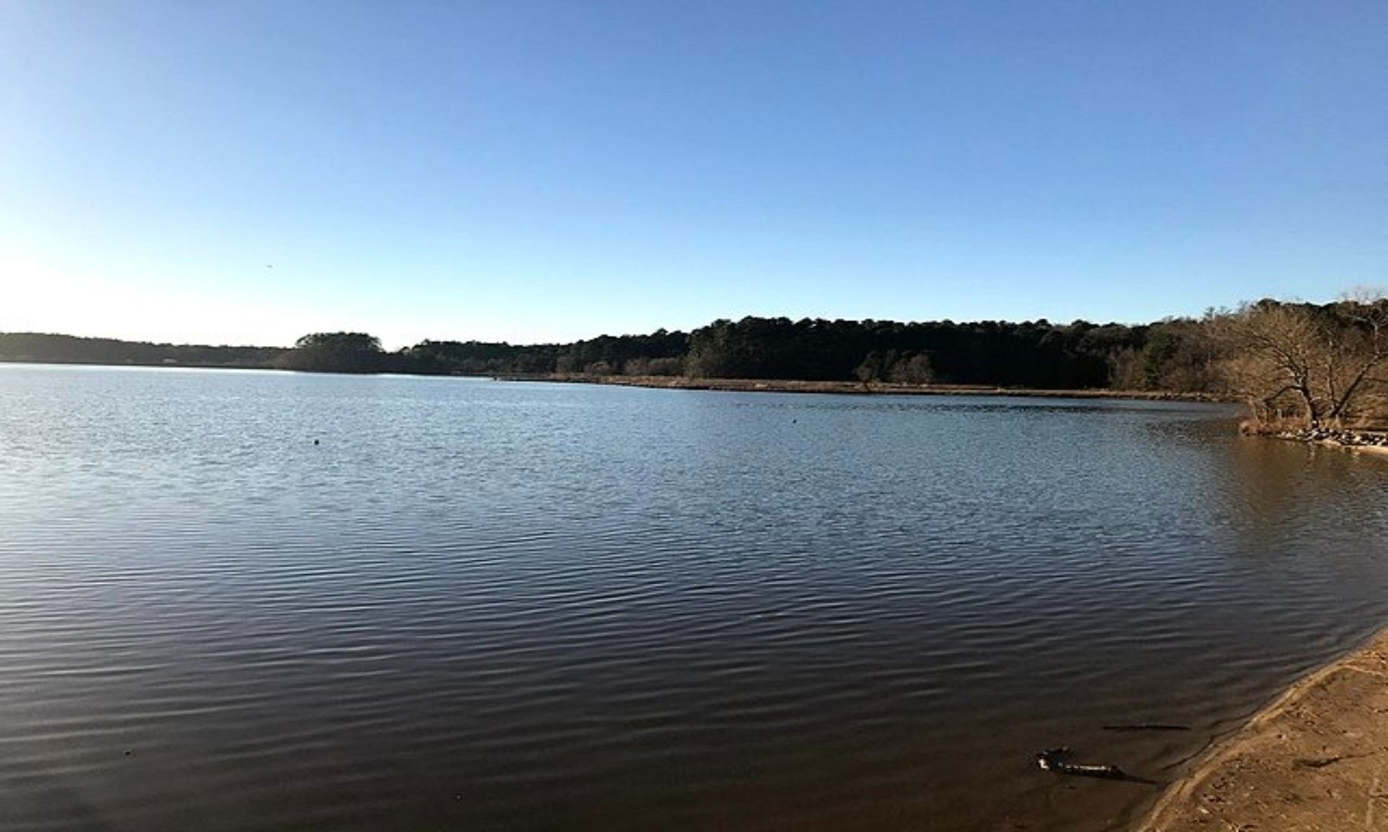 Morrisville, NC Fishing: Fantastic Fishing Adventure in the Fall Line