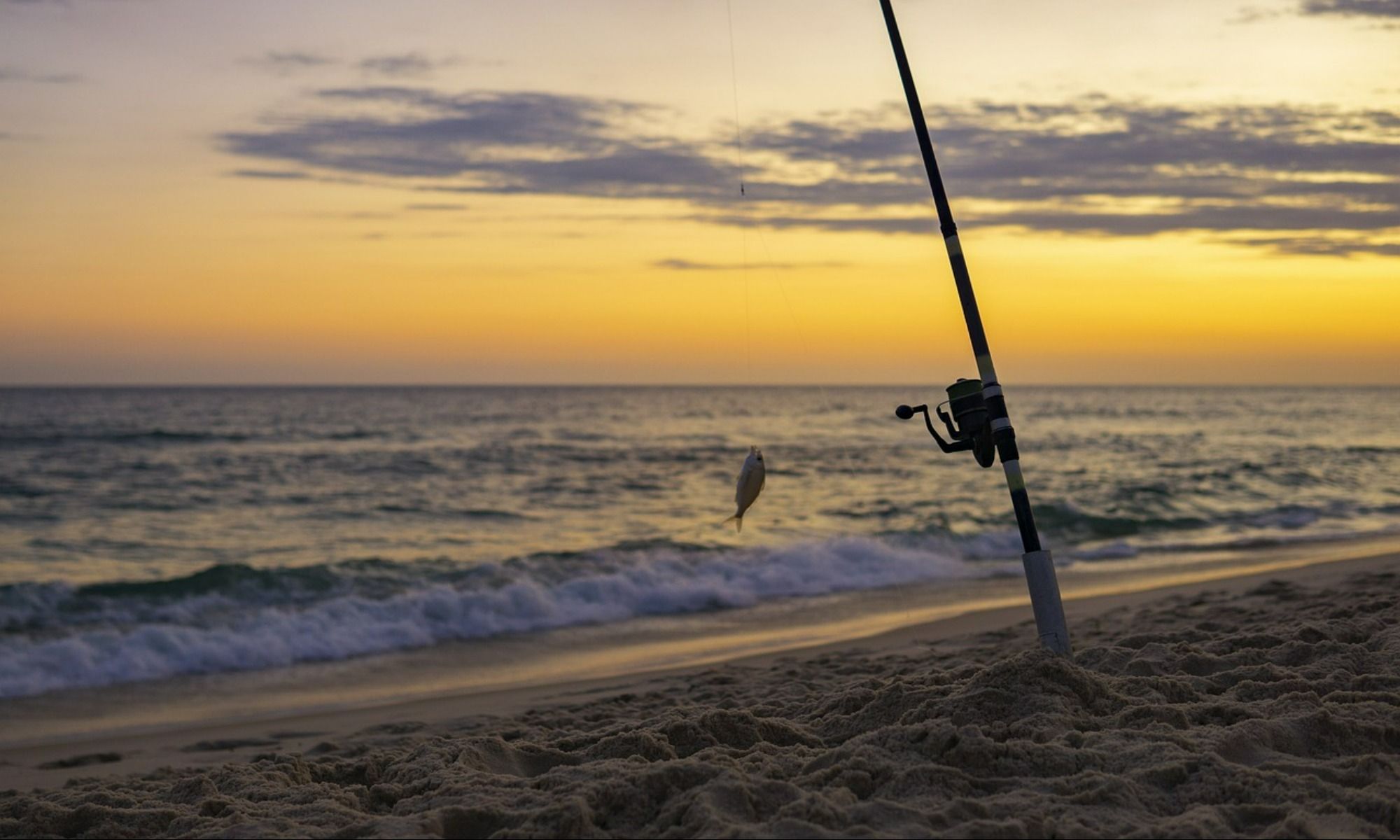 fishing pierced on the ground with a fish on its hook