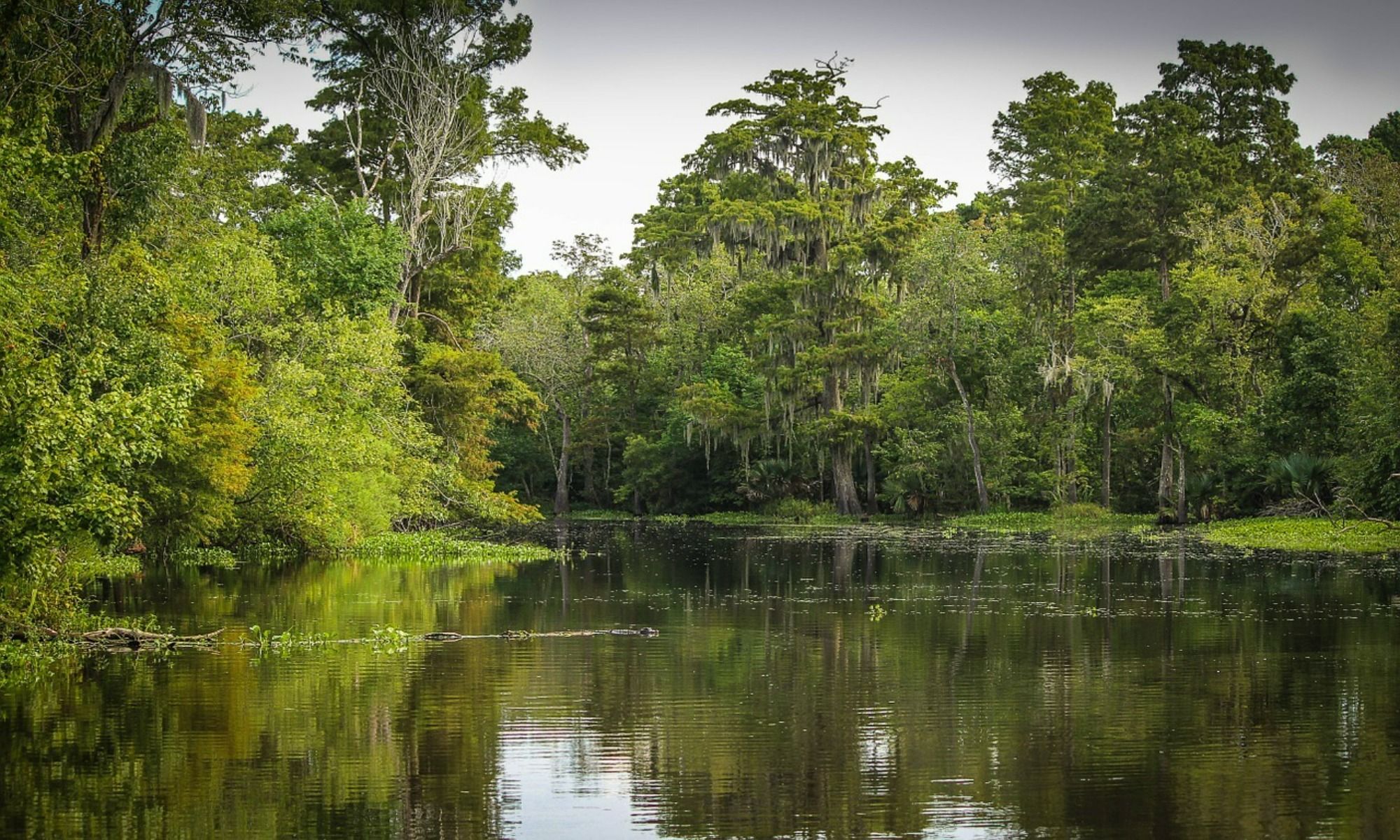 Book a Fishing Charter in Orleans, NY
