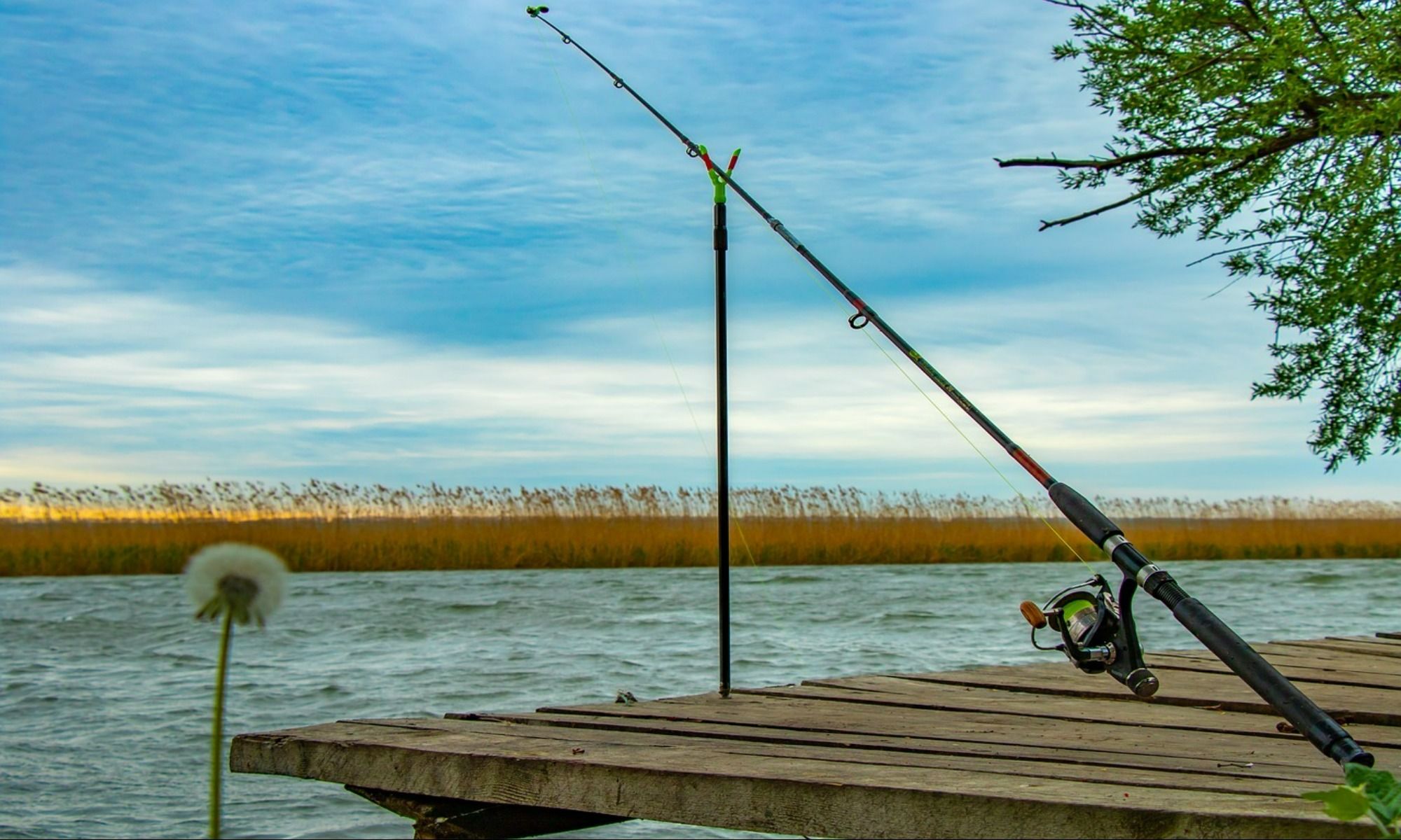 fishing rod on the dock