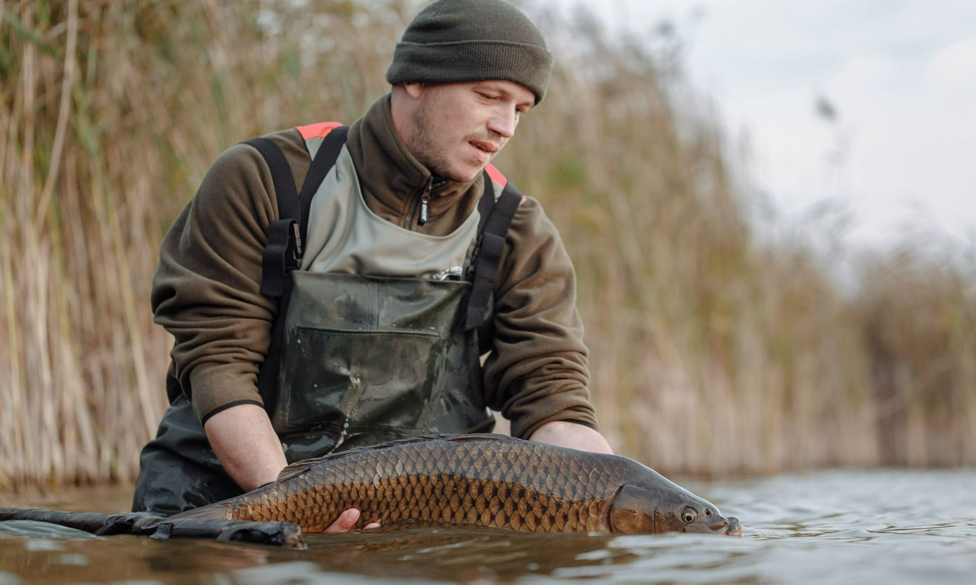 Top Reasons To Hire a Professional Angler