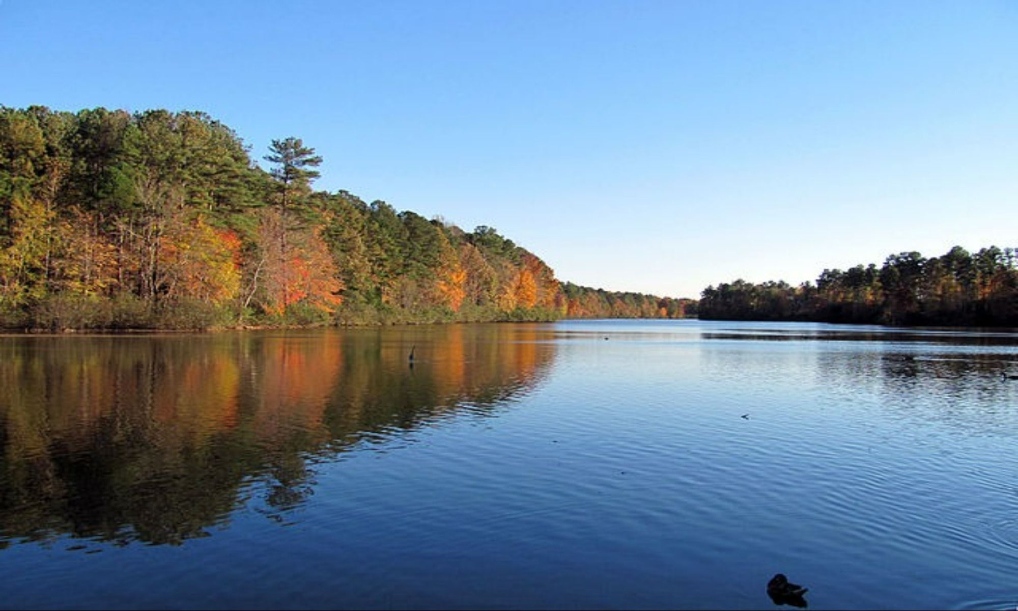 Book a Fishing Charter in Raleigh, NC