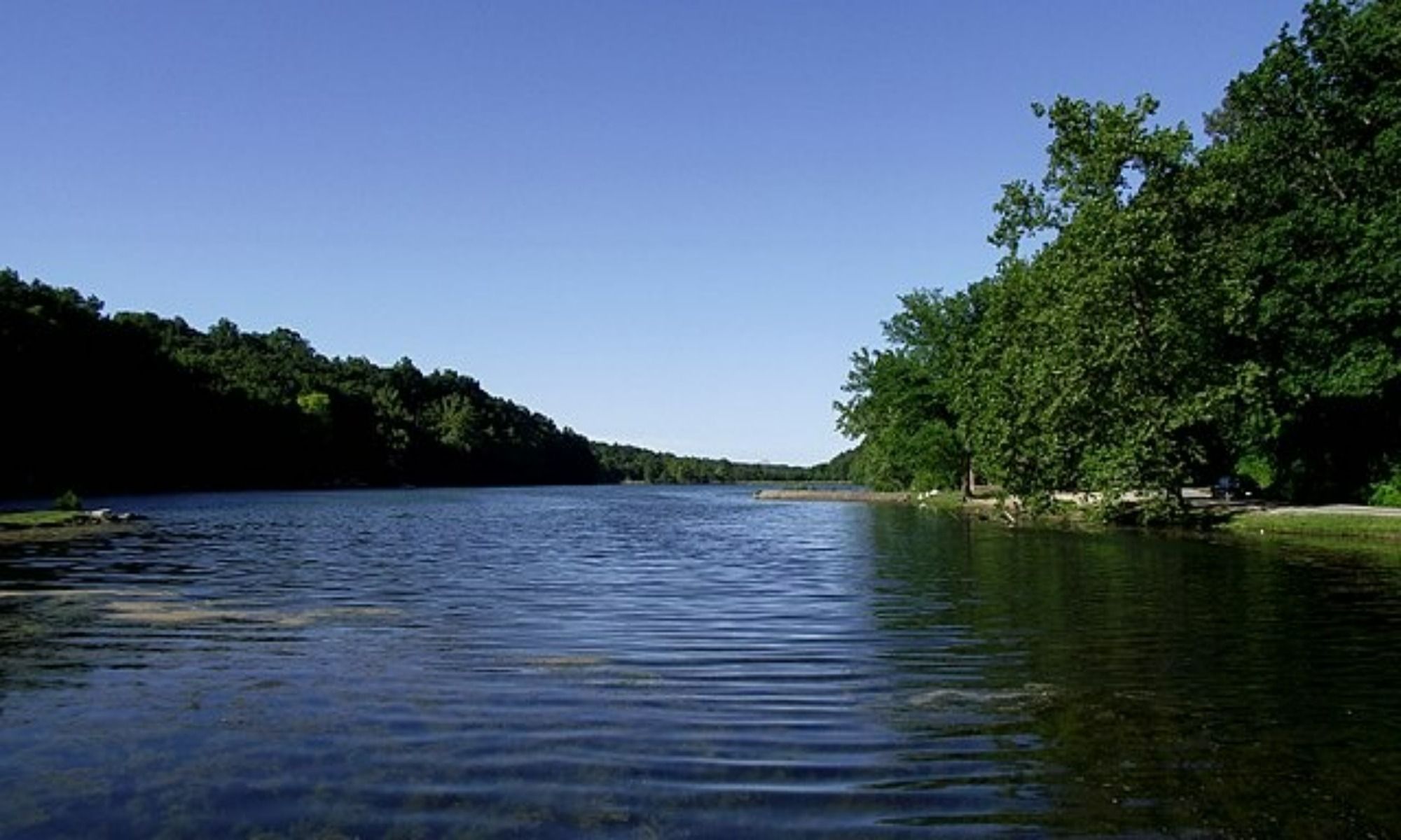 Book Your Fishing Charter in Rogers, AR