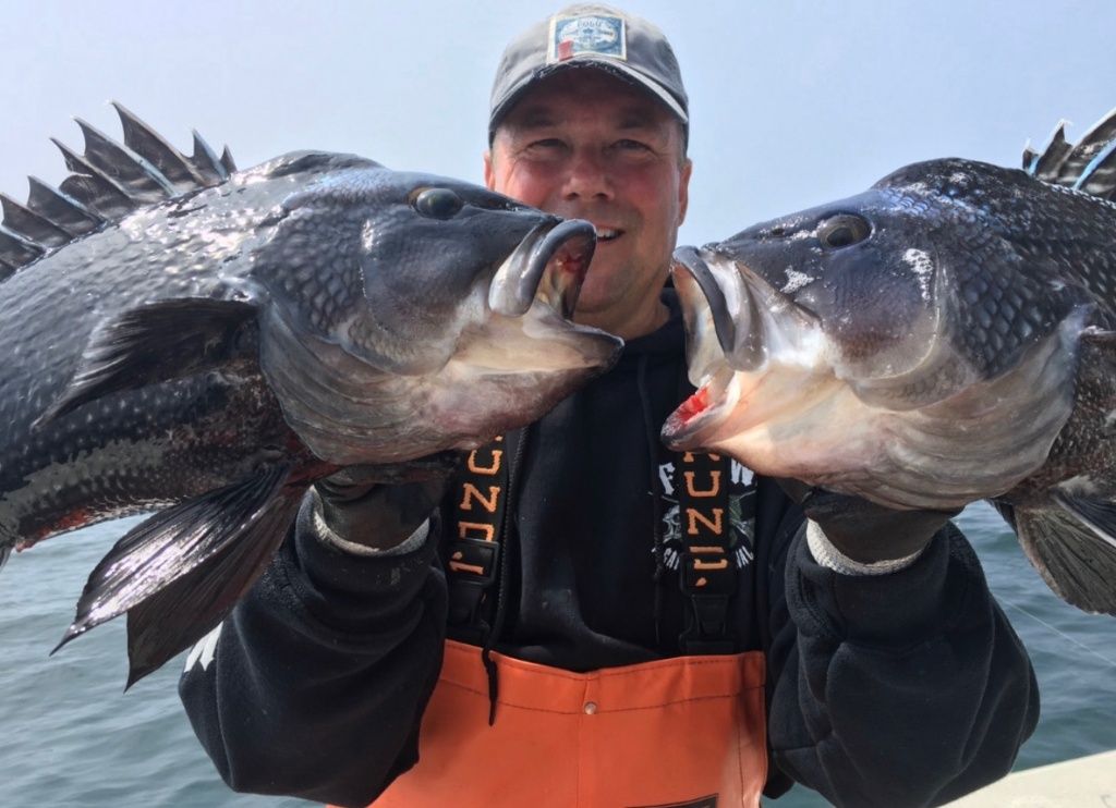 Best Seasons to Fish the Cape