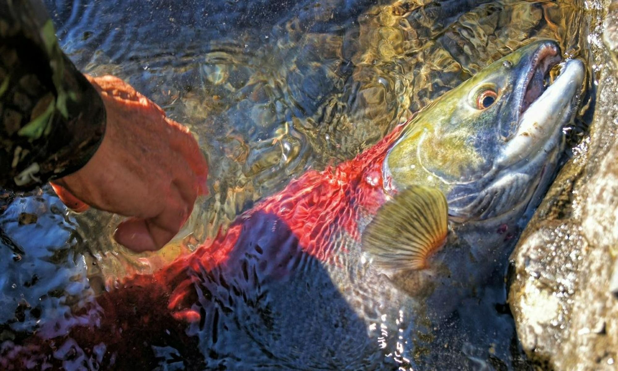 Buoy 10 Fishing Tips