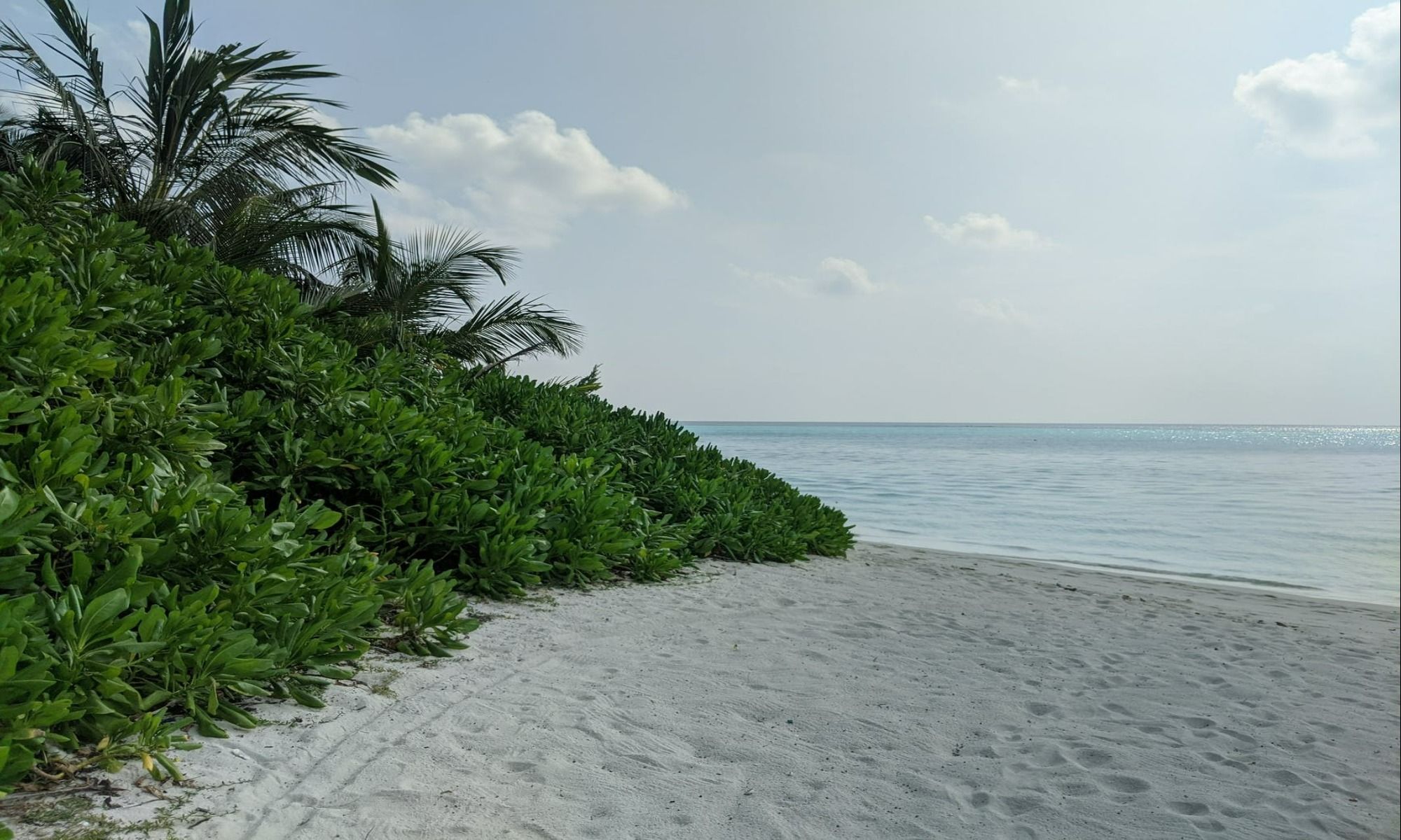 Saltwater Fishing in Florida: The Ultimate Guide
