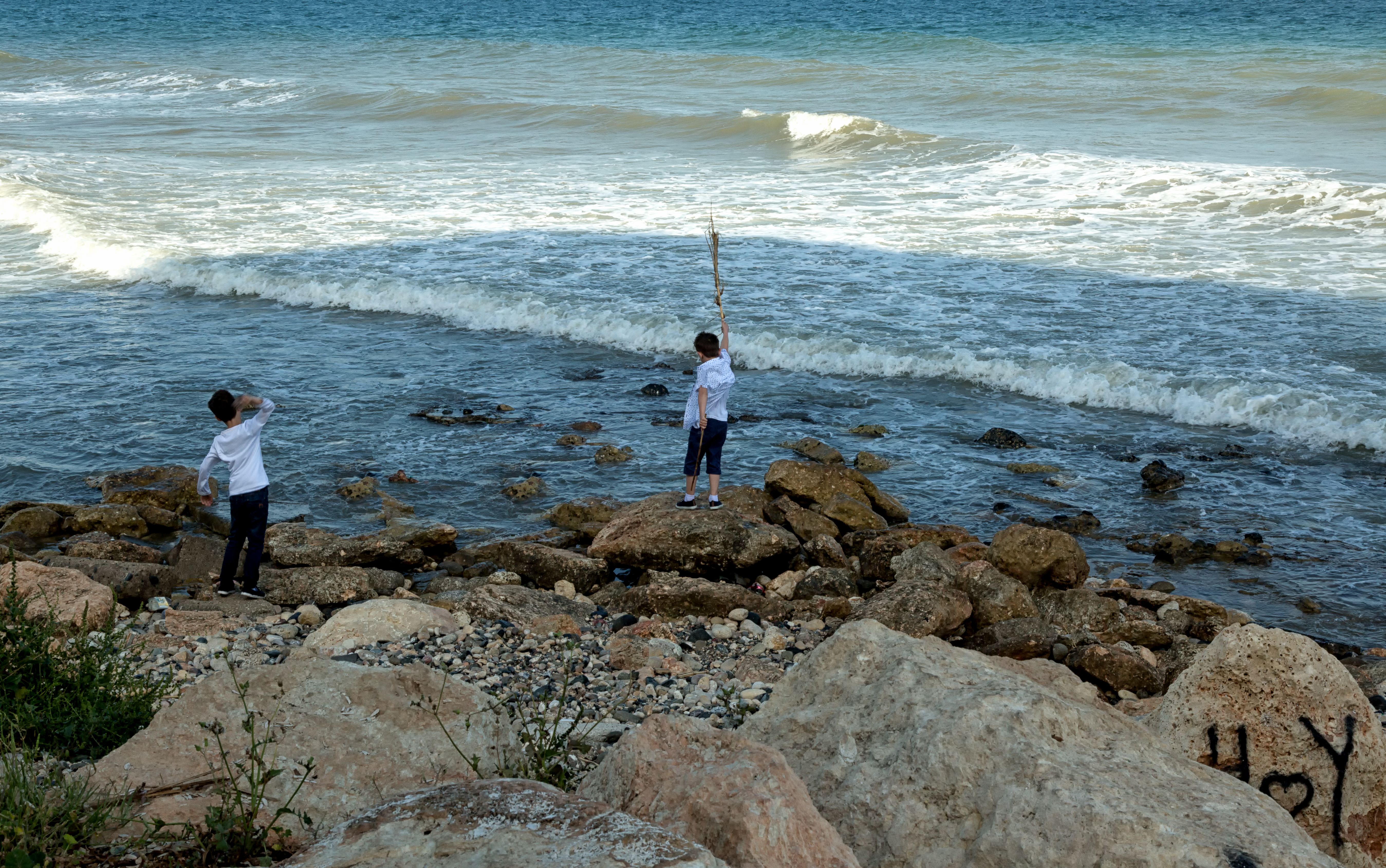 How to Read Tides for Saltwater Fishing Success