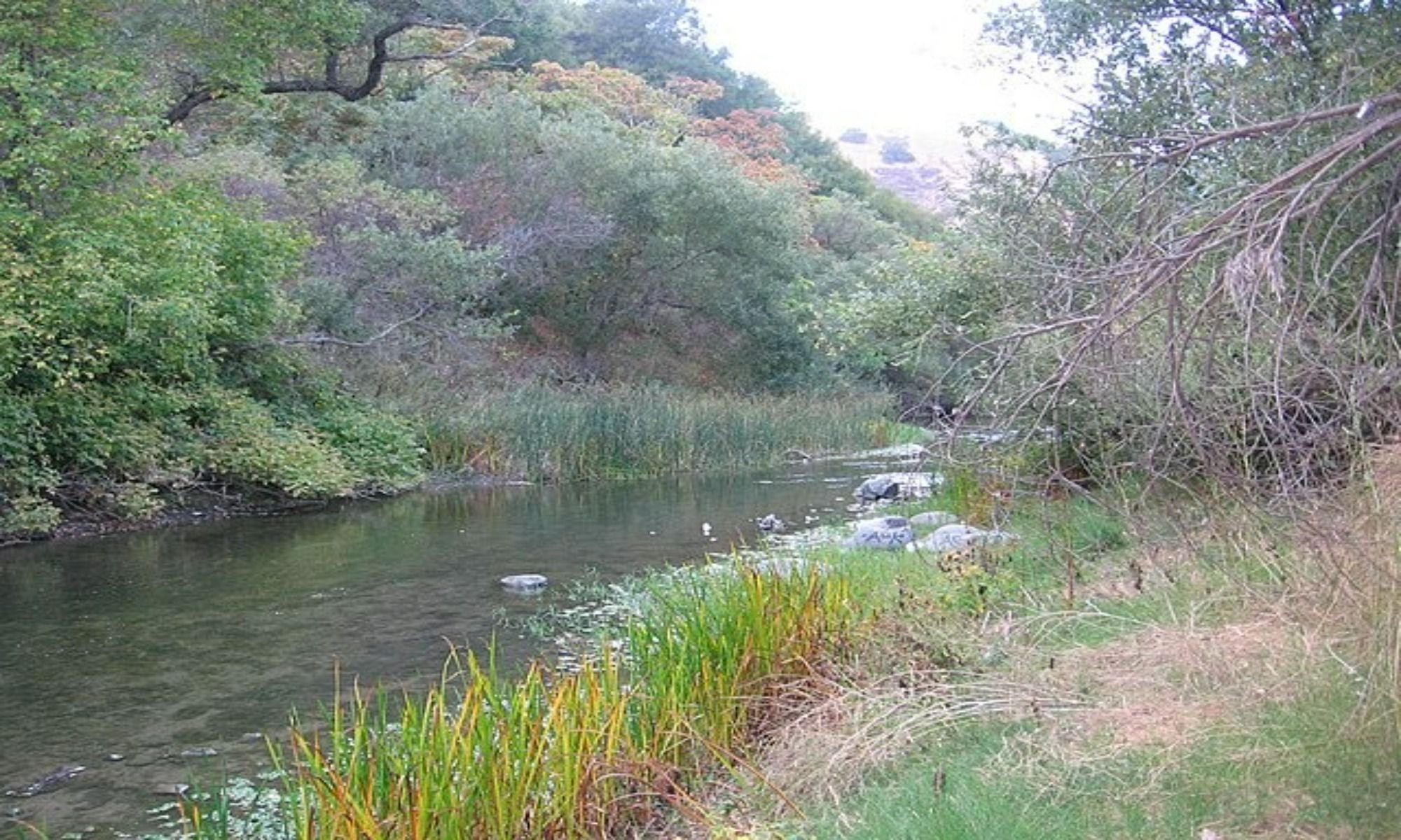 San Francisco Bay, CA: More Than Just Gold
