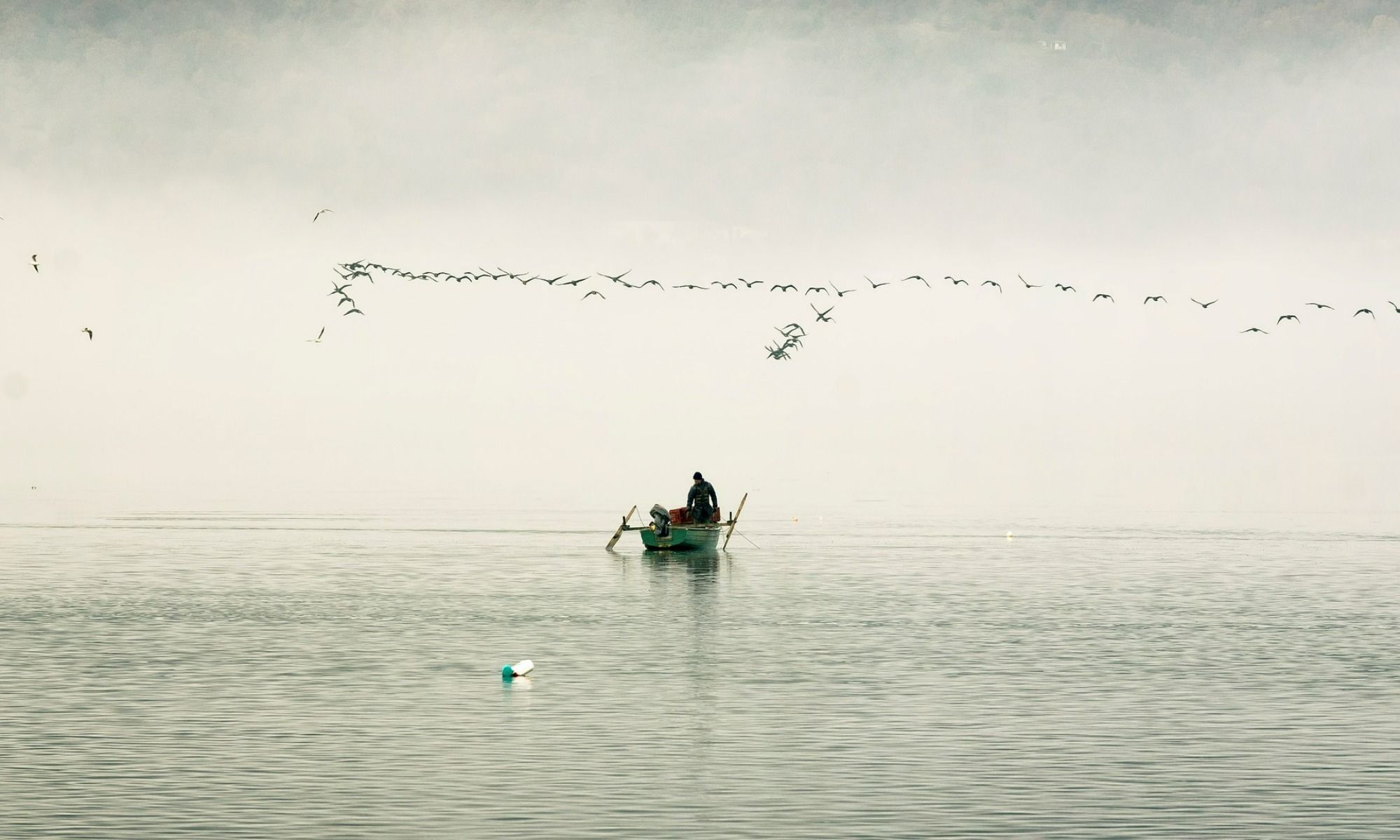 man on a boat fishing in the lake with birds flying over him