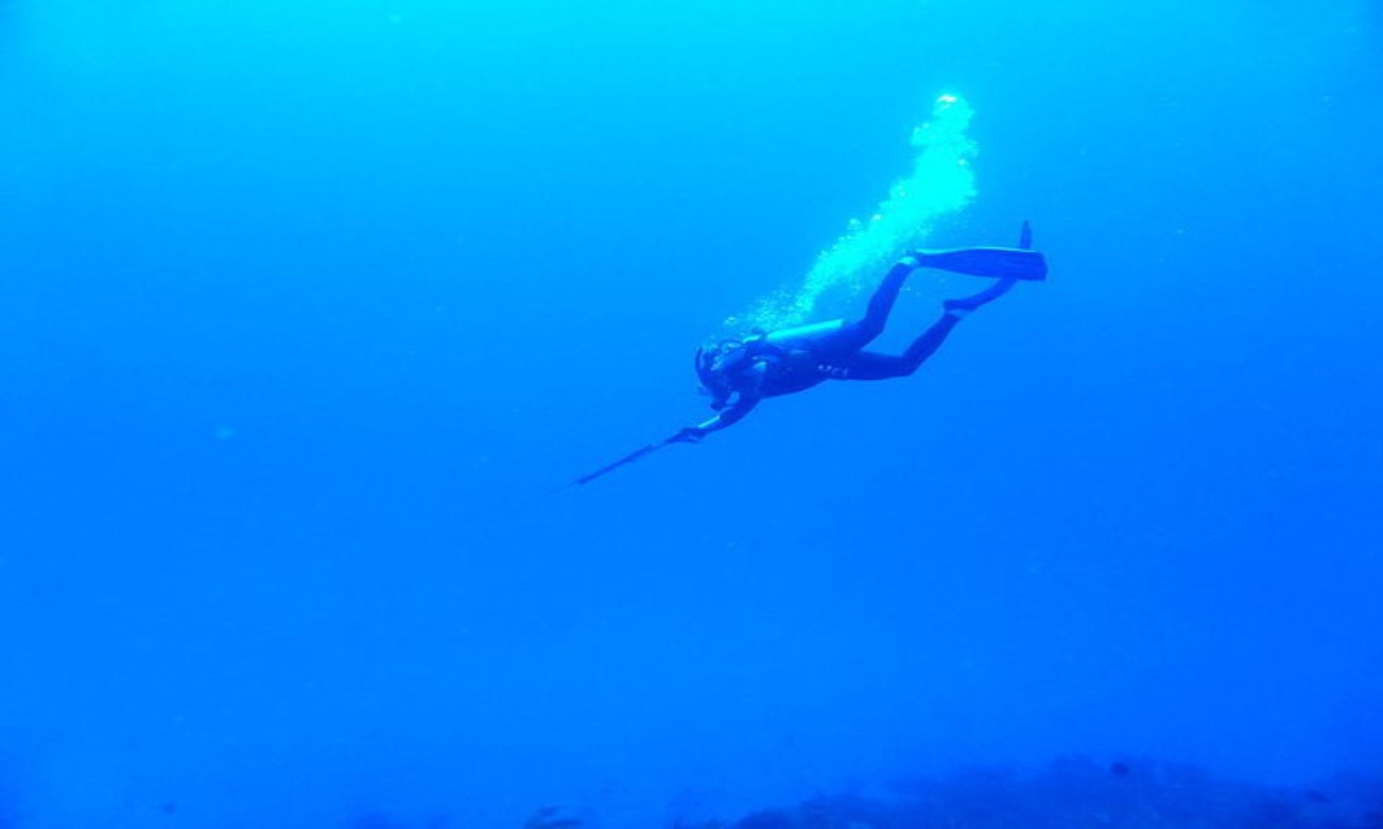 Florida Spearfishing: What You Need to Know
